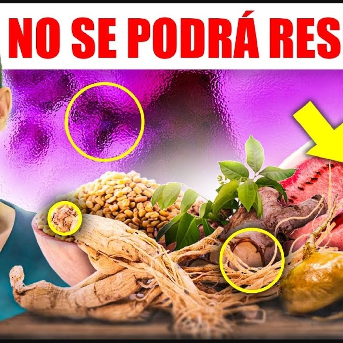 Portada de Dr. Borja Bandera