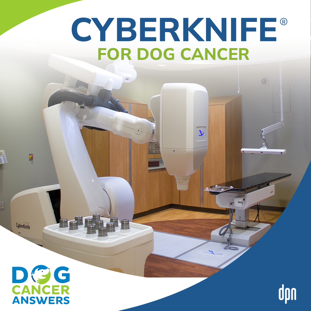 Cyberknife for Dog Cancer #12