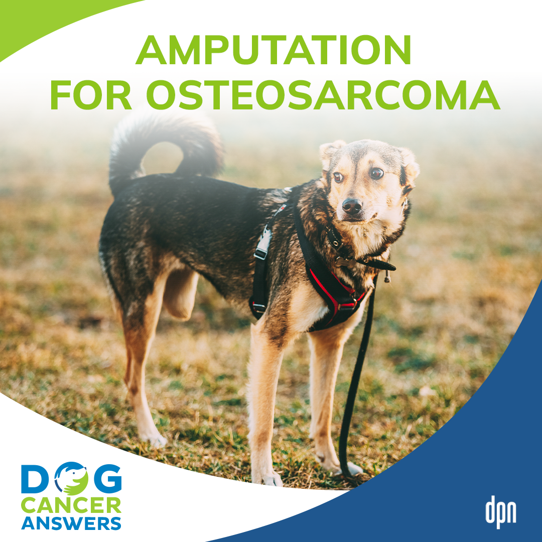 Amputation for Osteosarcoma #10