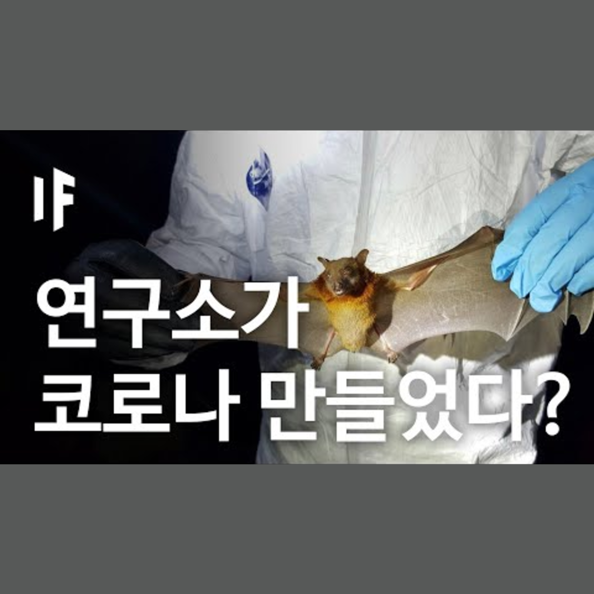 만약에 코로나가 연구소에서 만들어졌다면? [한국어 더빙] | 만약에 What If Korea episode artwork