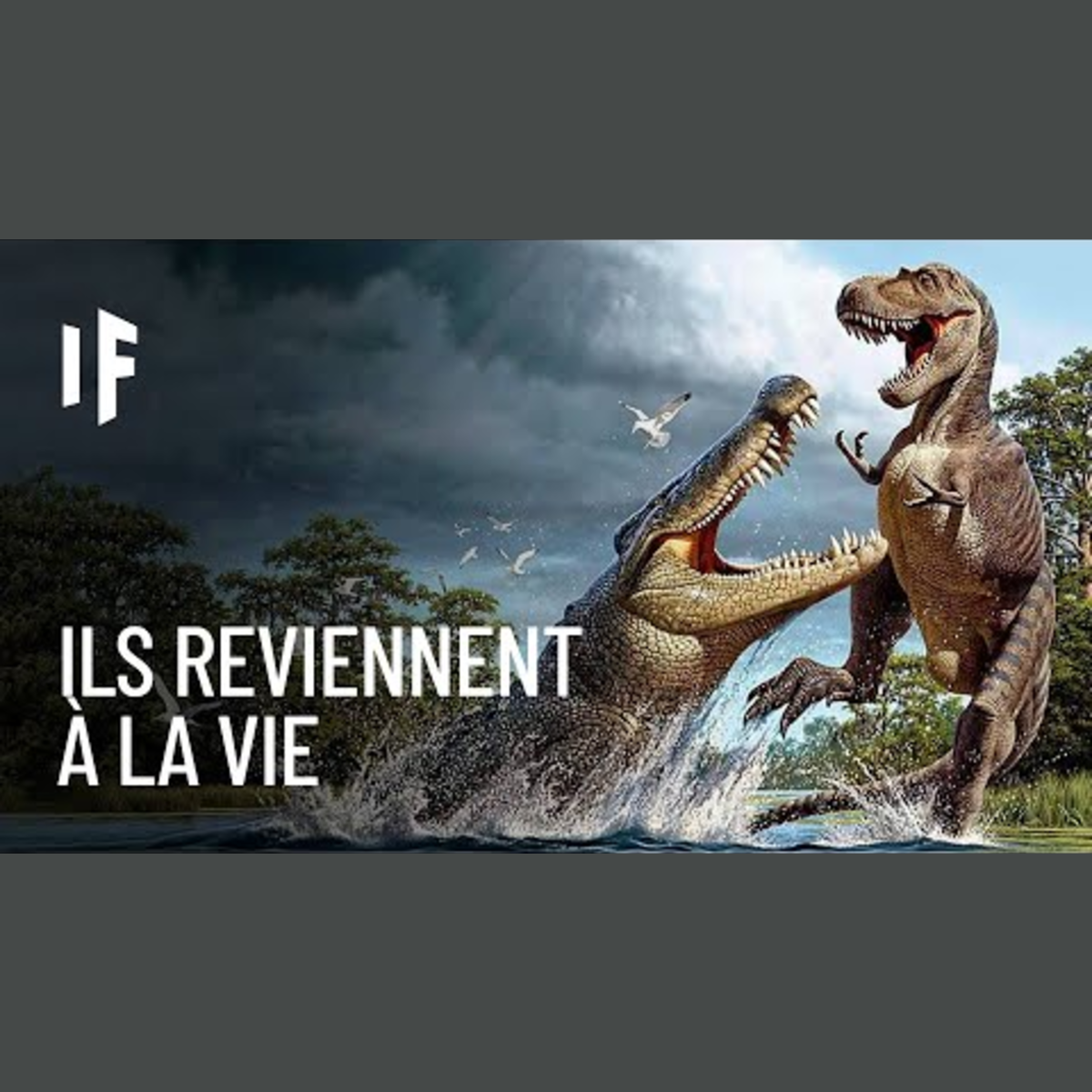 What If Français - Et Si