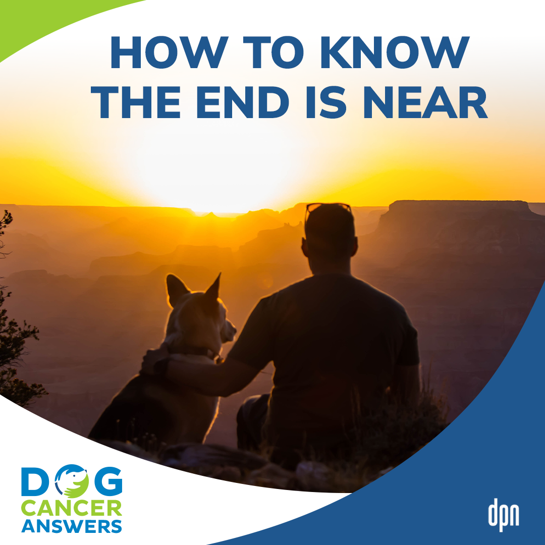 How To Know the End Is Near #6