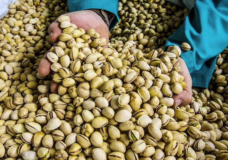 ¿Qué hay detrás del boom del pistacho en España?