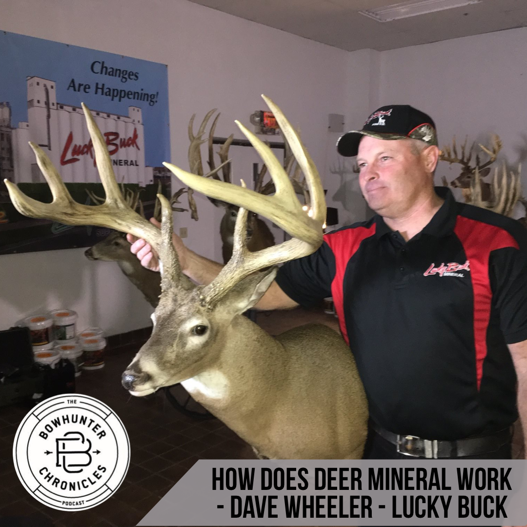 How Does Deer Mineral Work? - Dave Wheeler - Lucky Buck