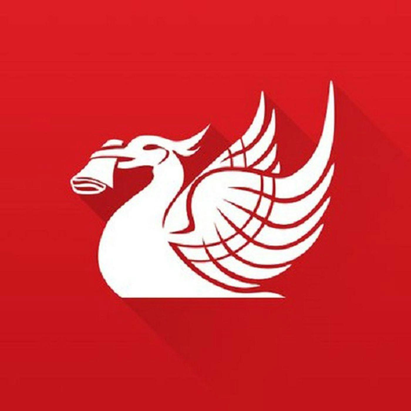 Liverpool Echo live briefing