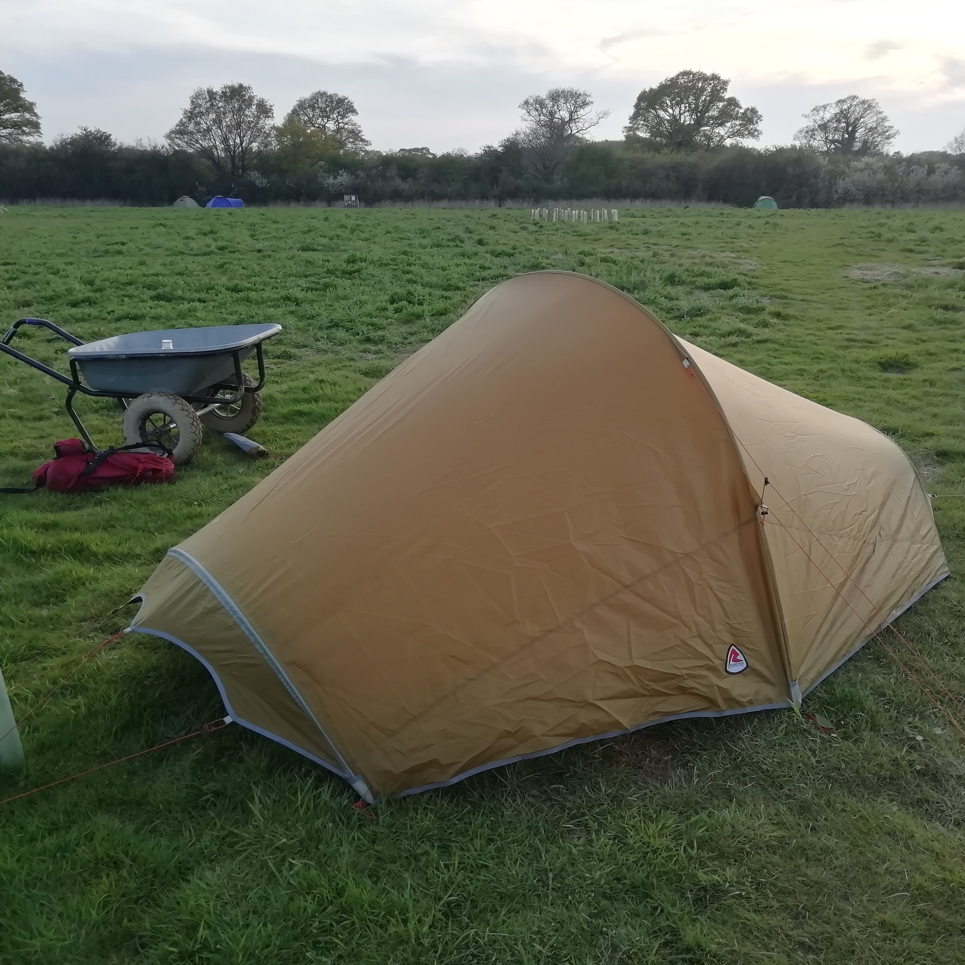 Sound Escape 117: Celebrate the stunning dawn chorus at Knepp Wildlands