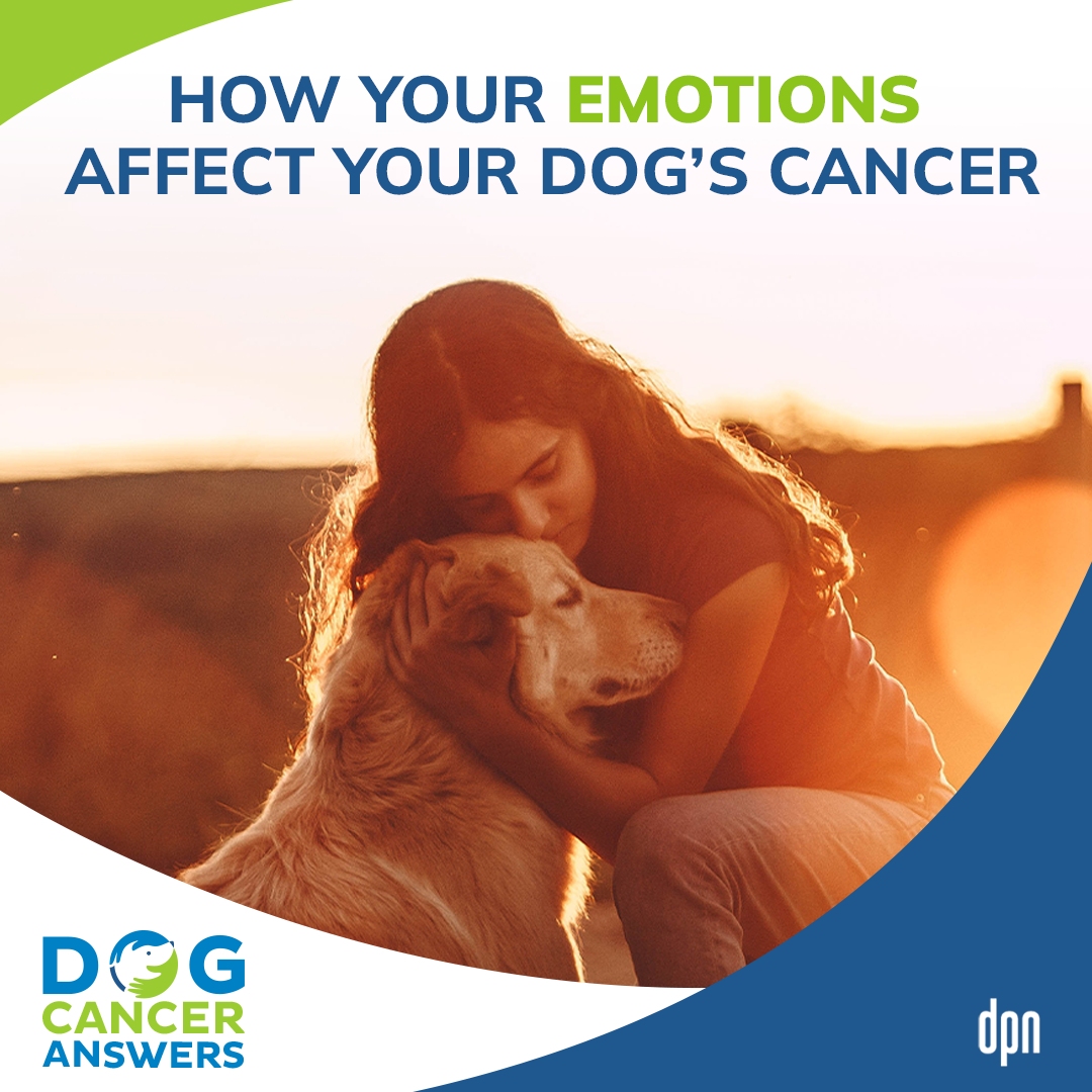 How Your Emotions Affect Your Dog's Cancer #1