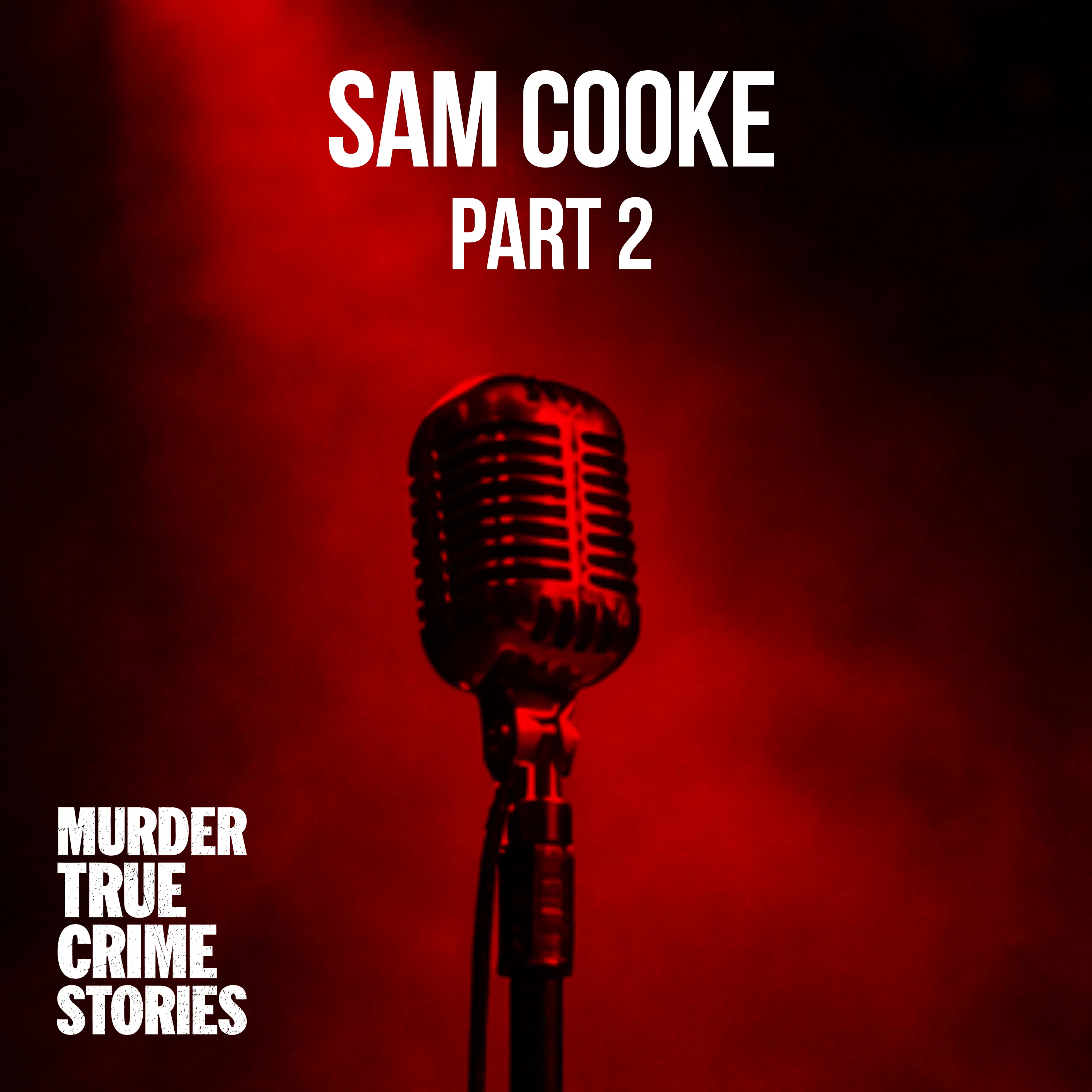 SOLVED: Sam Cooke 2 episode artwork