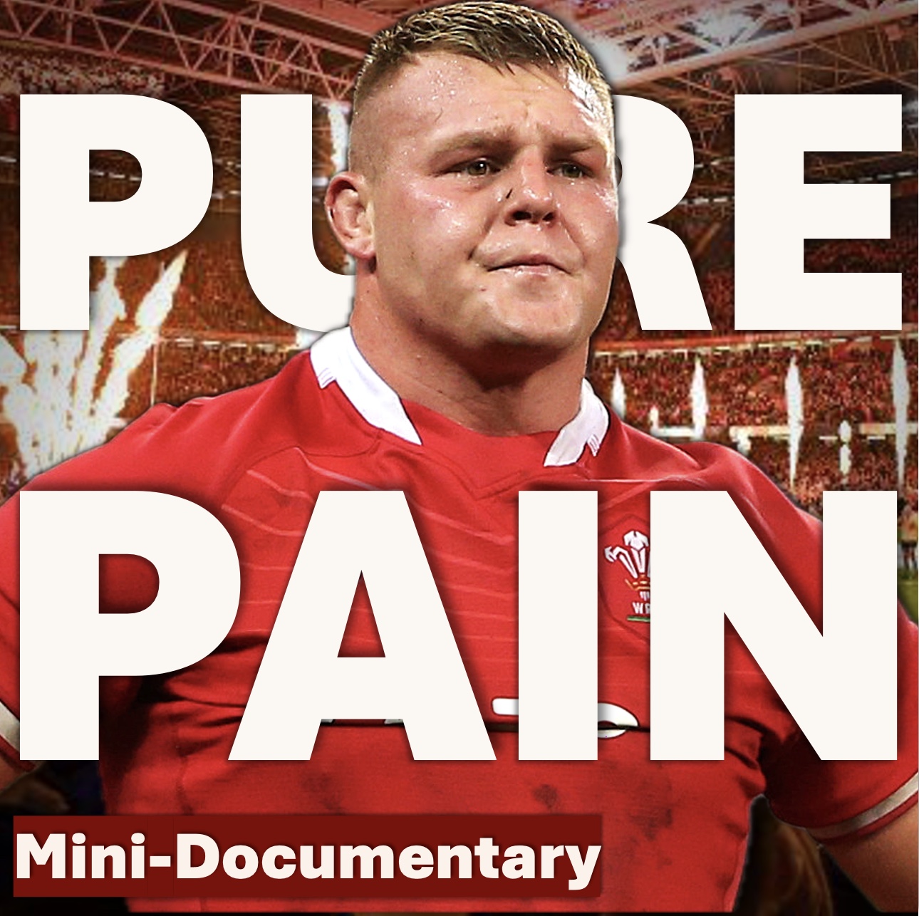 The Most Miserable Game Of Rugby Ever? - Watching South Africa Destroy Wales.