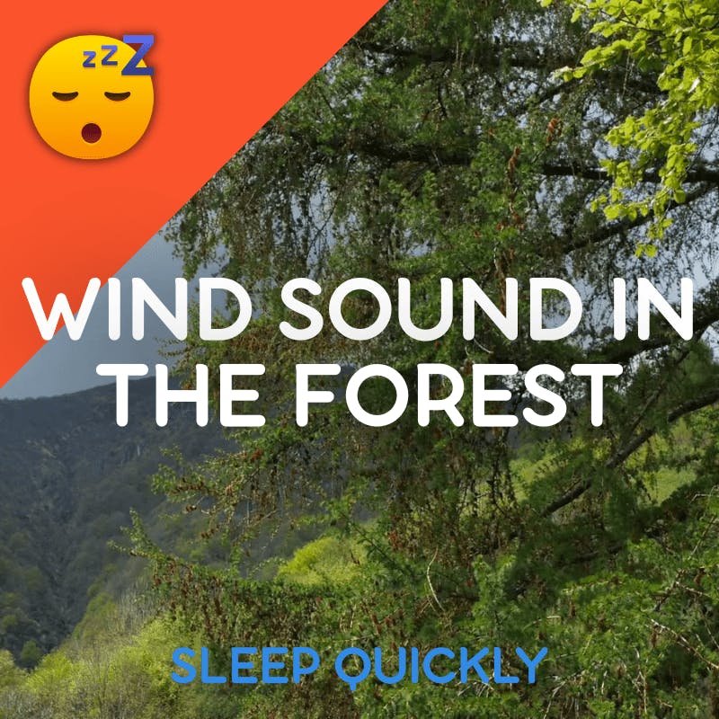 😴🍂 Fall ASLEEP with WIND Sound in the FOREST episode artwork