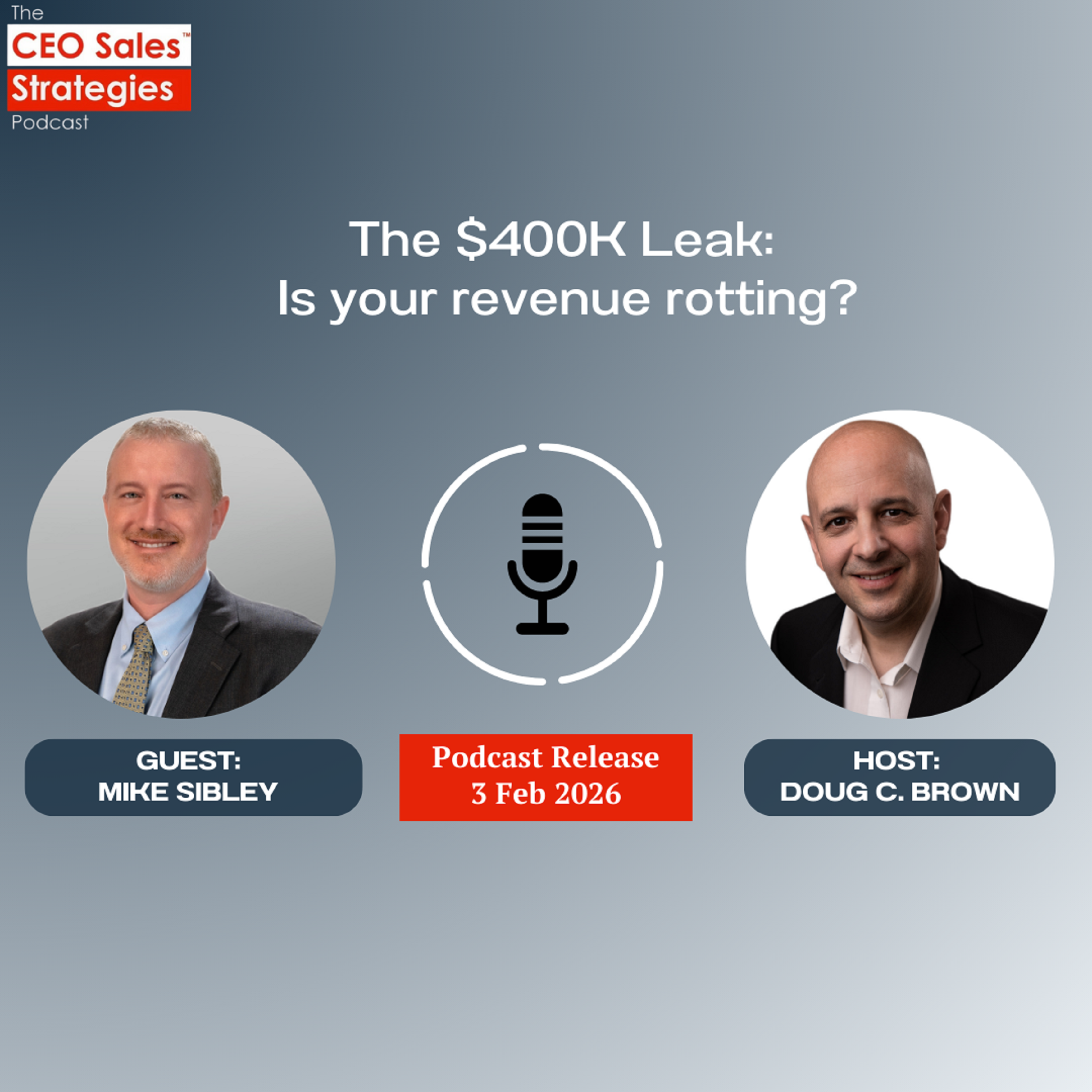 The $400K Leak: Is your revenue rotting?