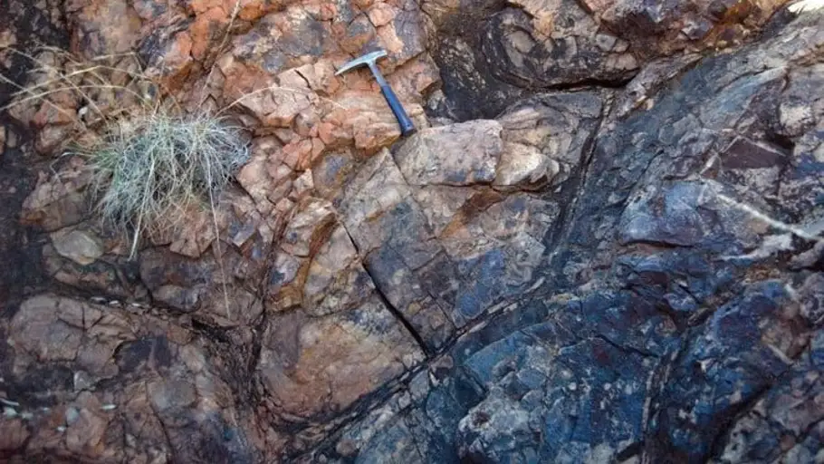 La IA descubre la vida más antigua en la Tierra