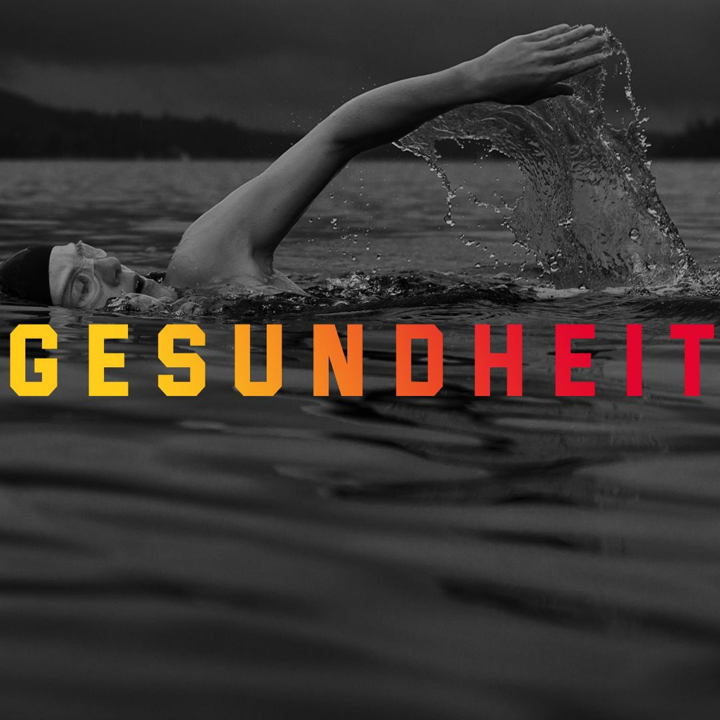 [2020 - 02 - 16] Gesundheit.Bewegung (Stefan Hänsch) episode artwork