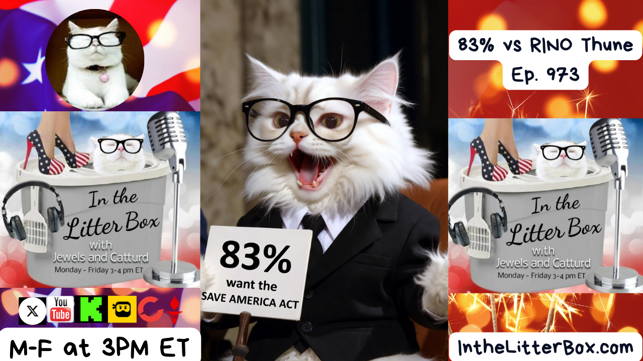 83% vs RINO Thune | In the Litter Box w/ Jewels Jones & Catturd – Ep. 973 – 2/19/2026