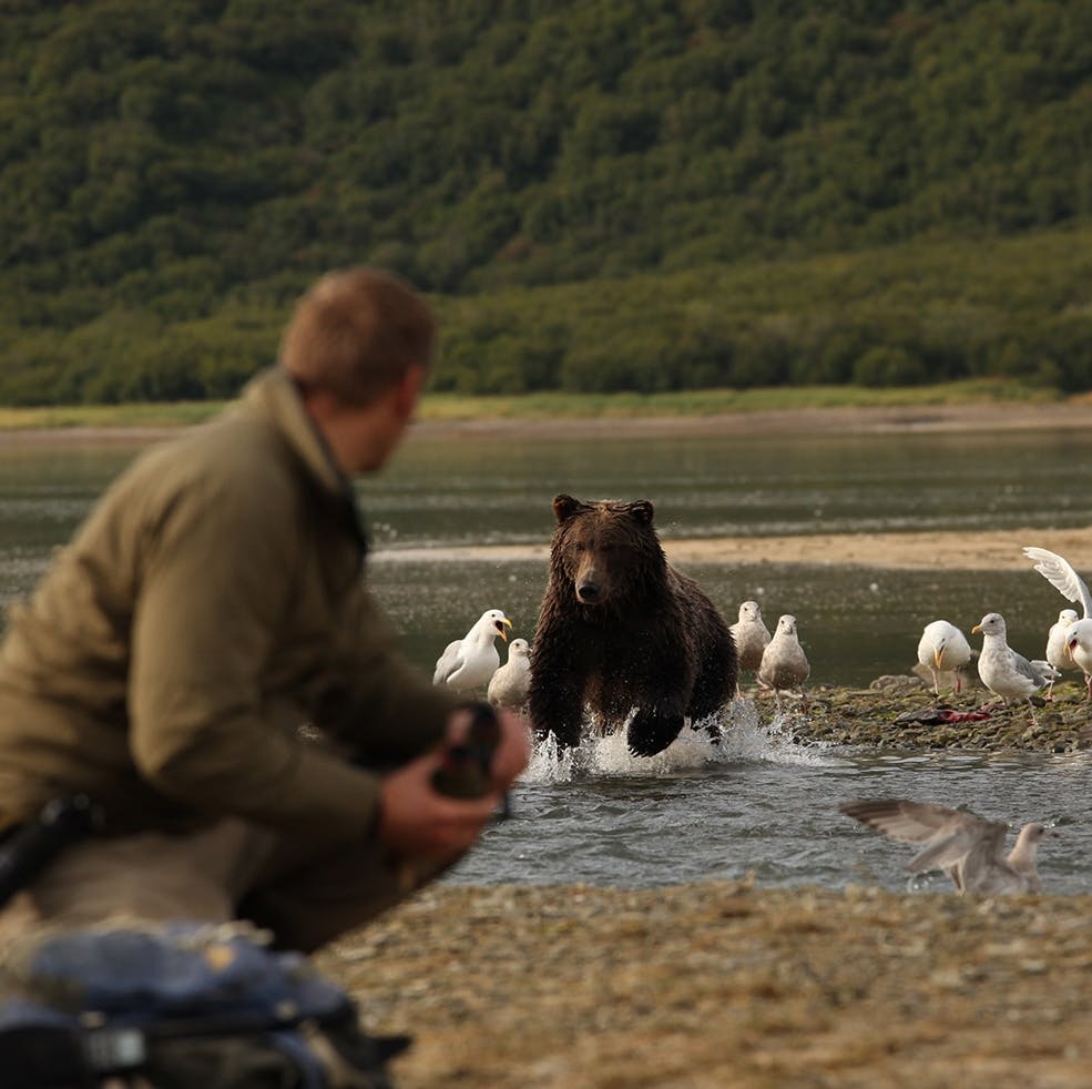 Flying Polar Bears and Charging Grizzlies: Beartrekking With Ecologist Chris Morgan