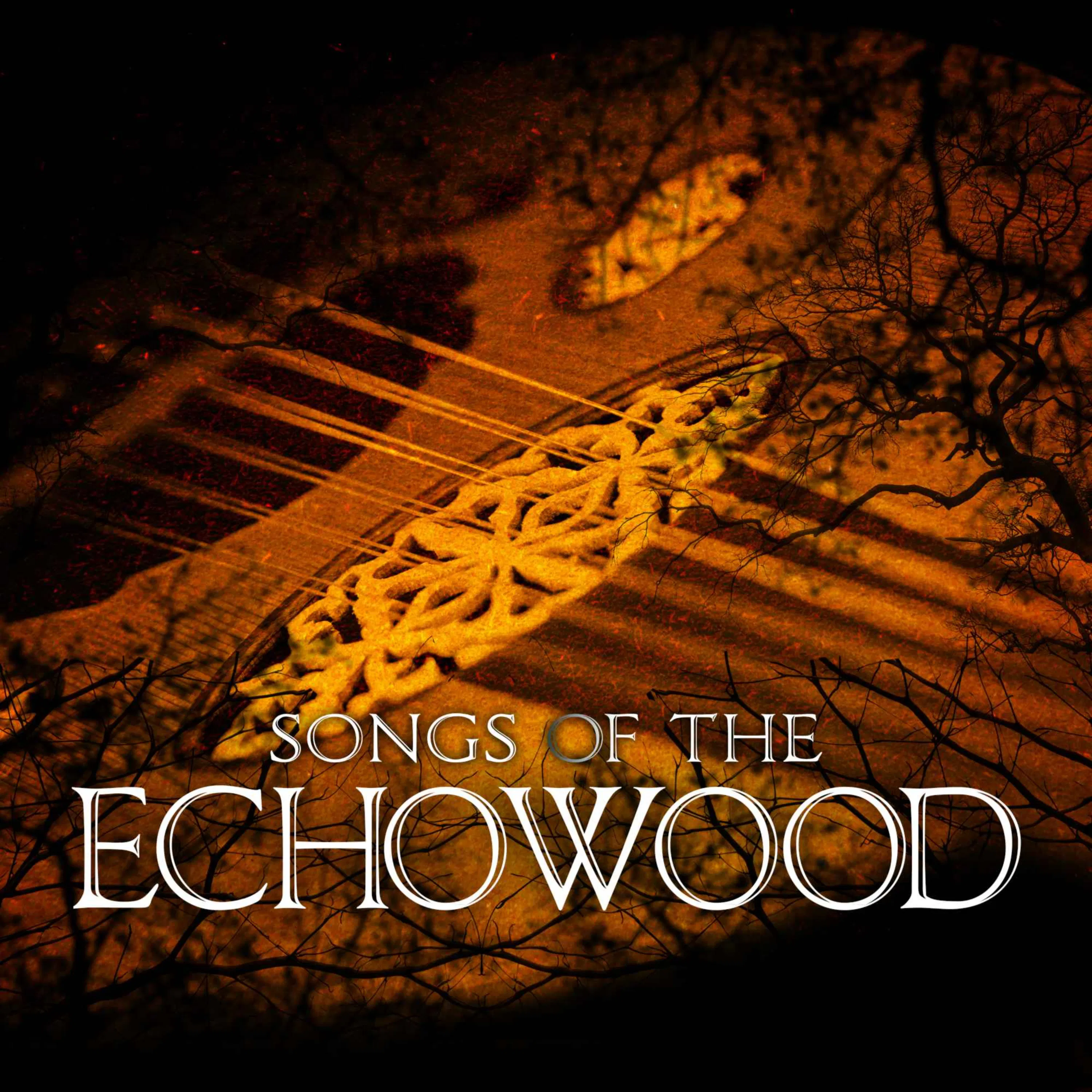 Episode 8: Songs of the Echowood episode artwork