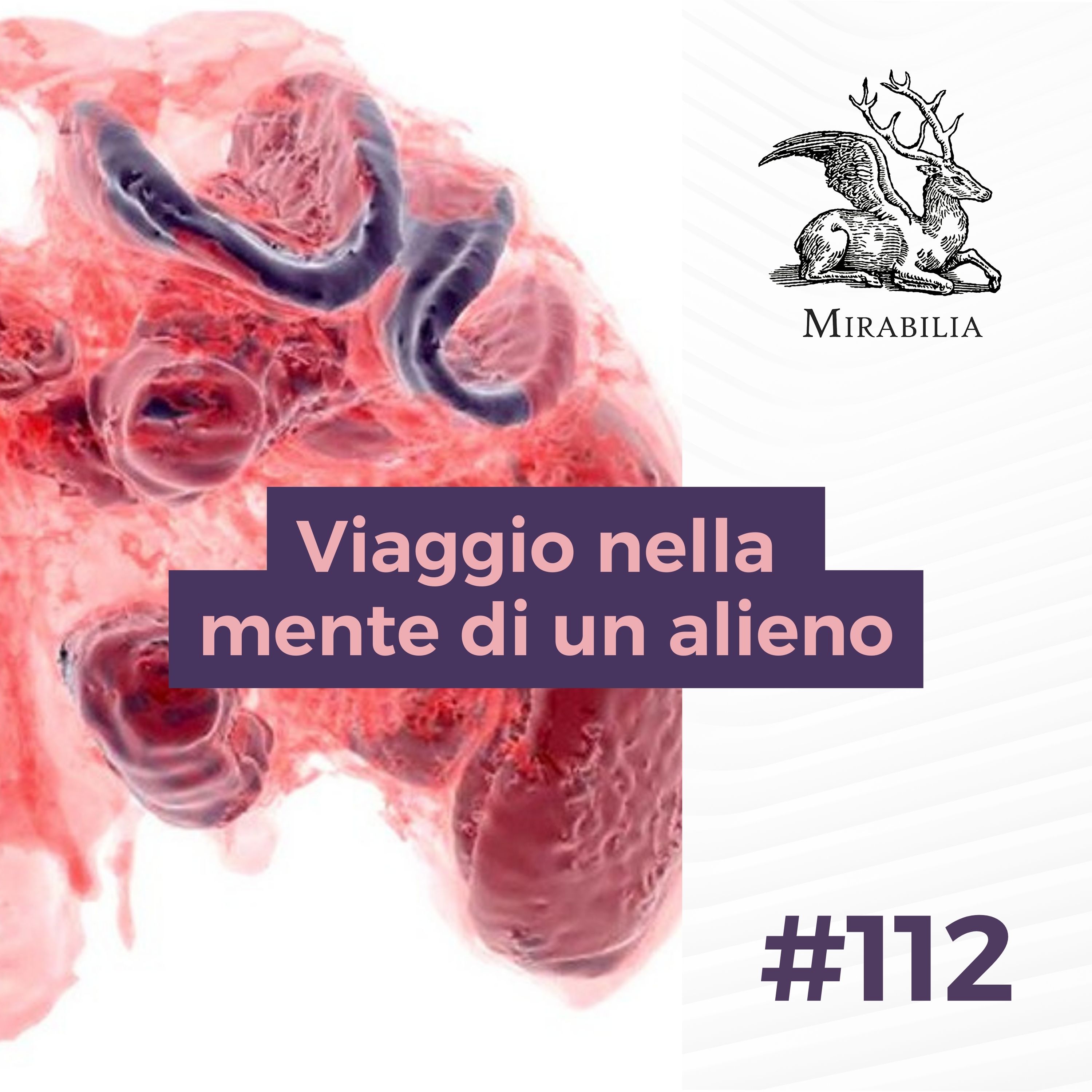 112. Viaggio nella mente di un alieno