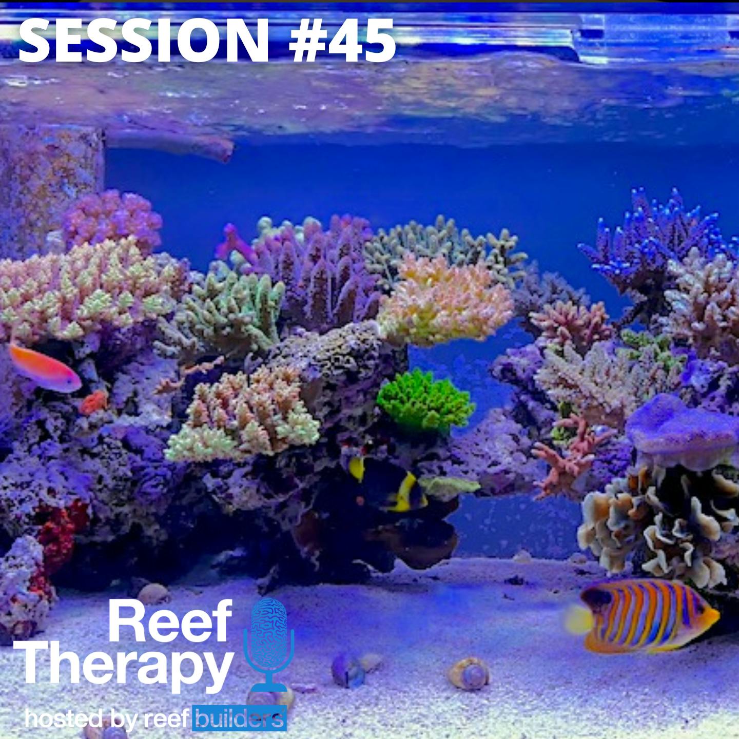 Things we're thankful for in the world of Reef Aquariums