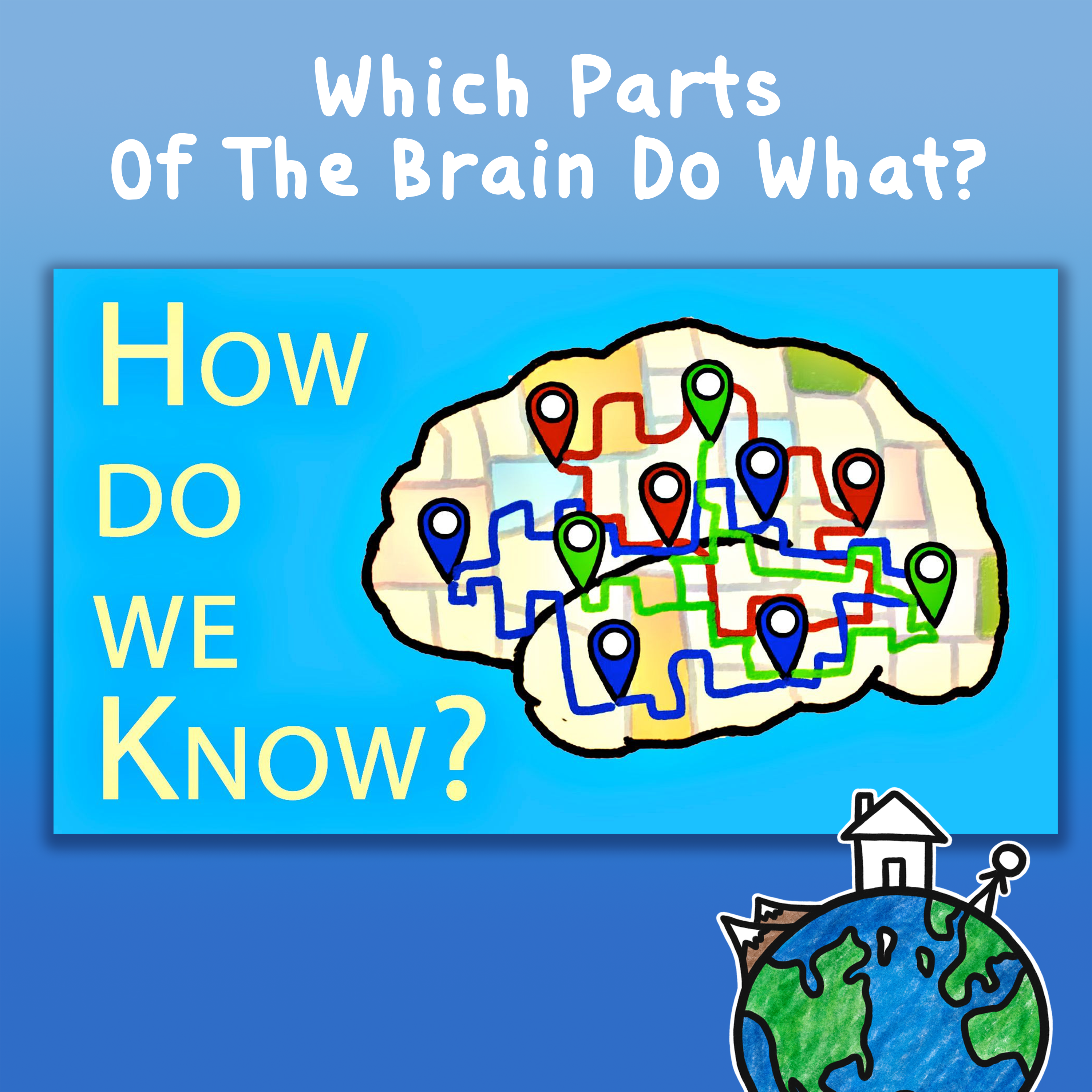 Which Parts Of The Brain Do What?