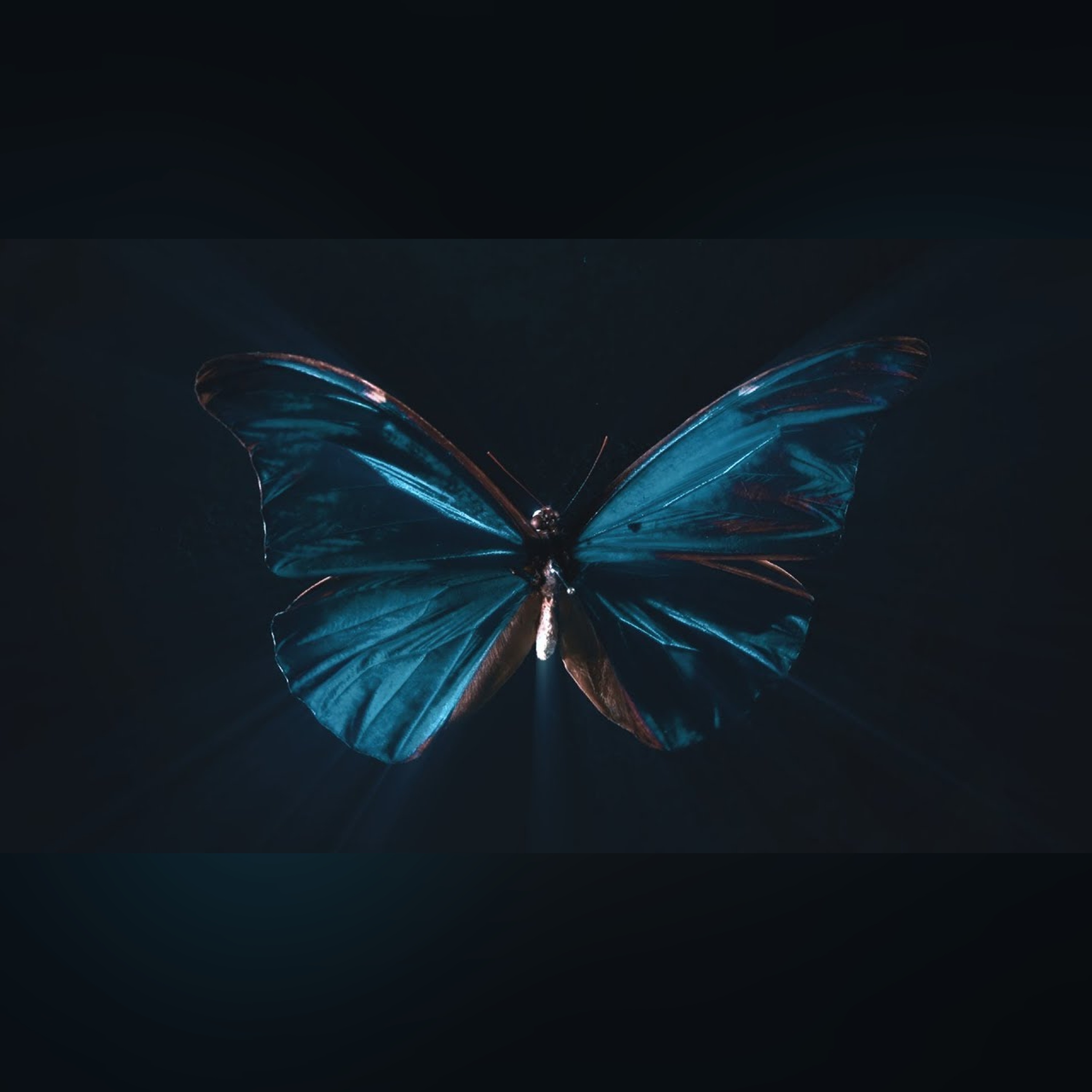 The Butterfly Effect episode artwork