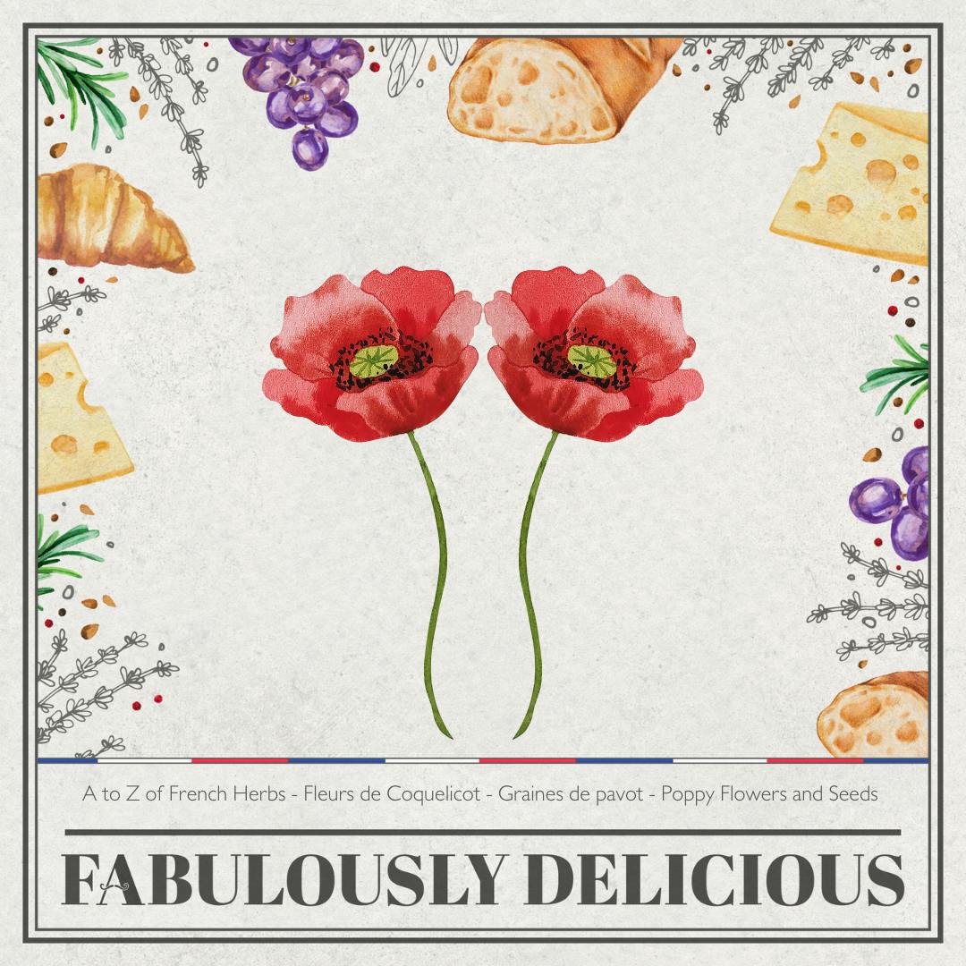 A to Z of French Herbs - Fleurs de Coquelicot - Graines de pavot - Poppy Flowers and Seeds