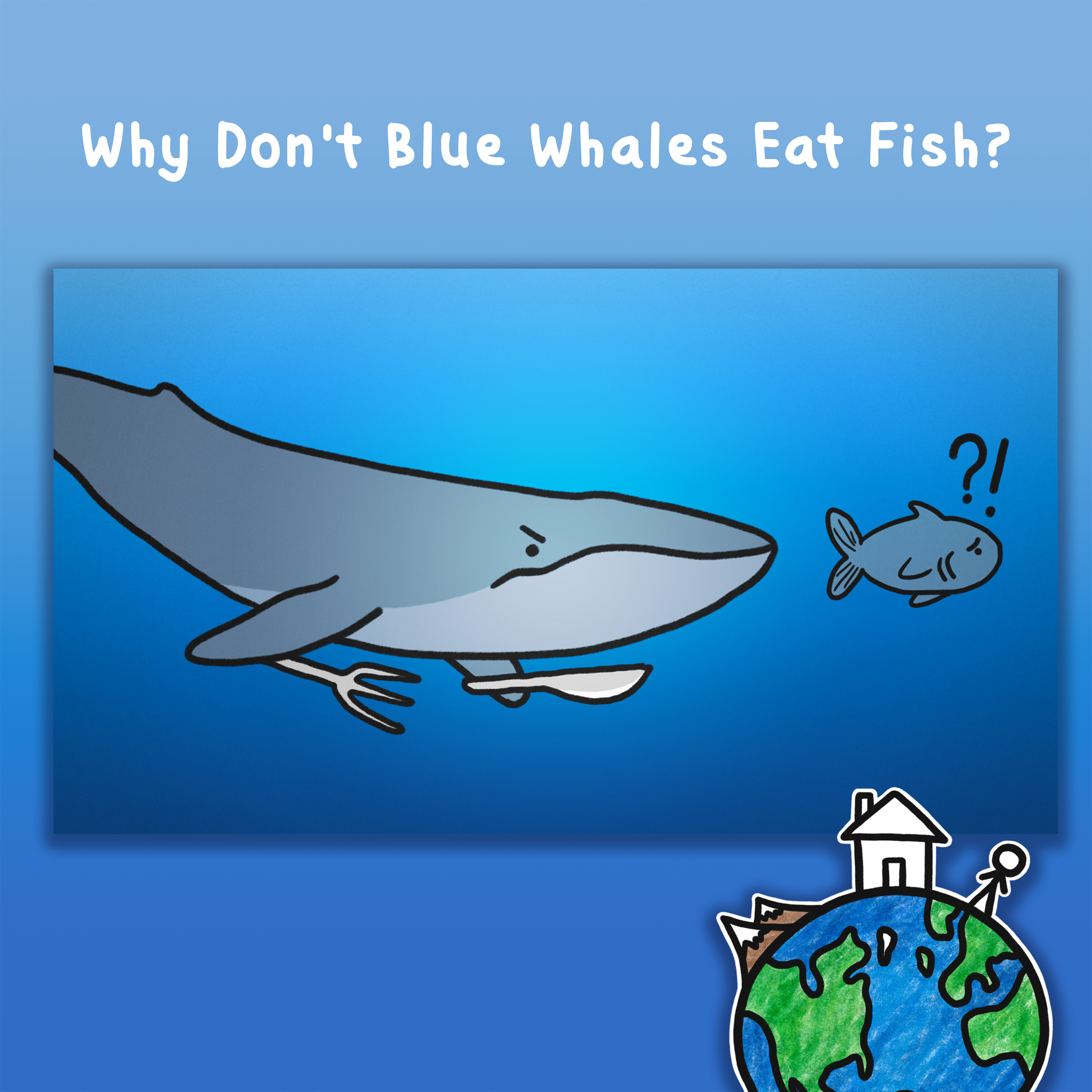 Why Don't Blue Whales Eat Fish?