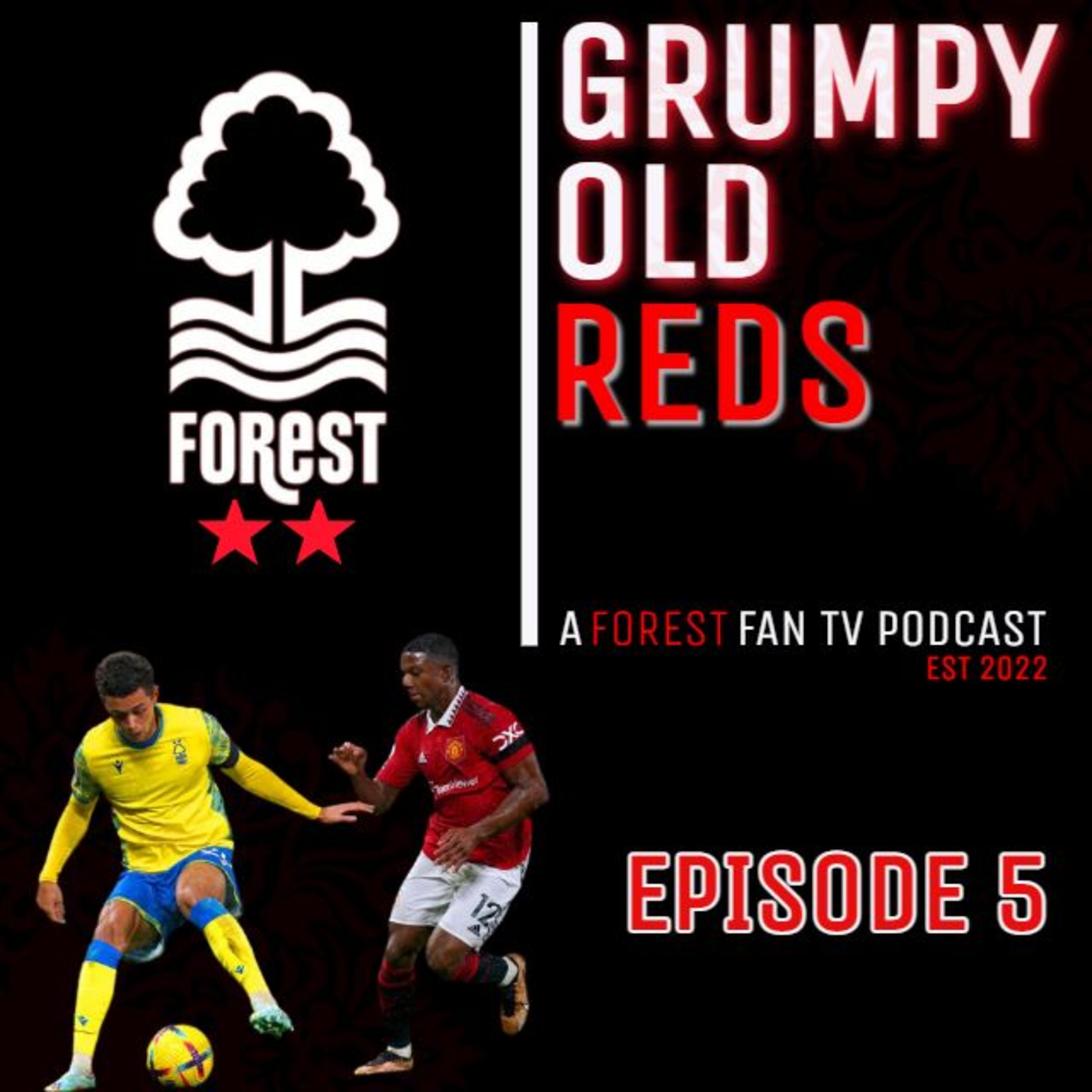 Forest Fan TV - A Nottingham Forest Podcast
