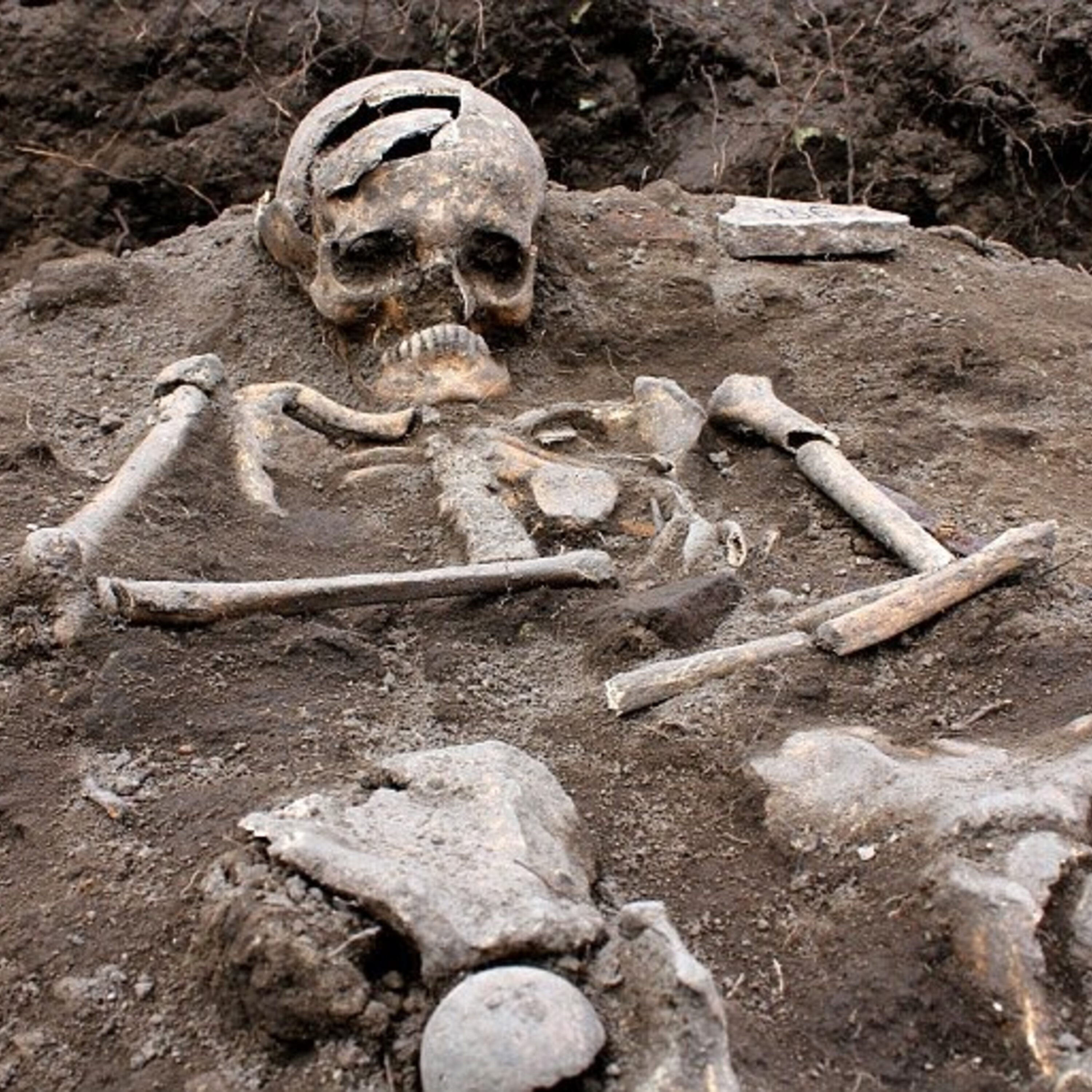 The Paranormal 60 Network