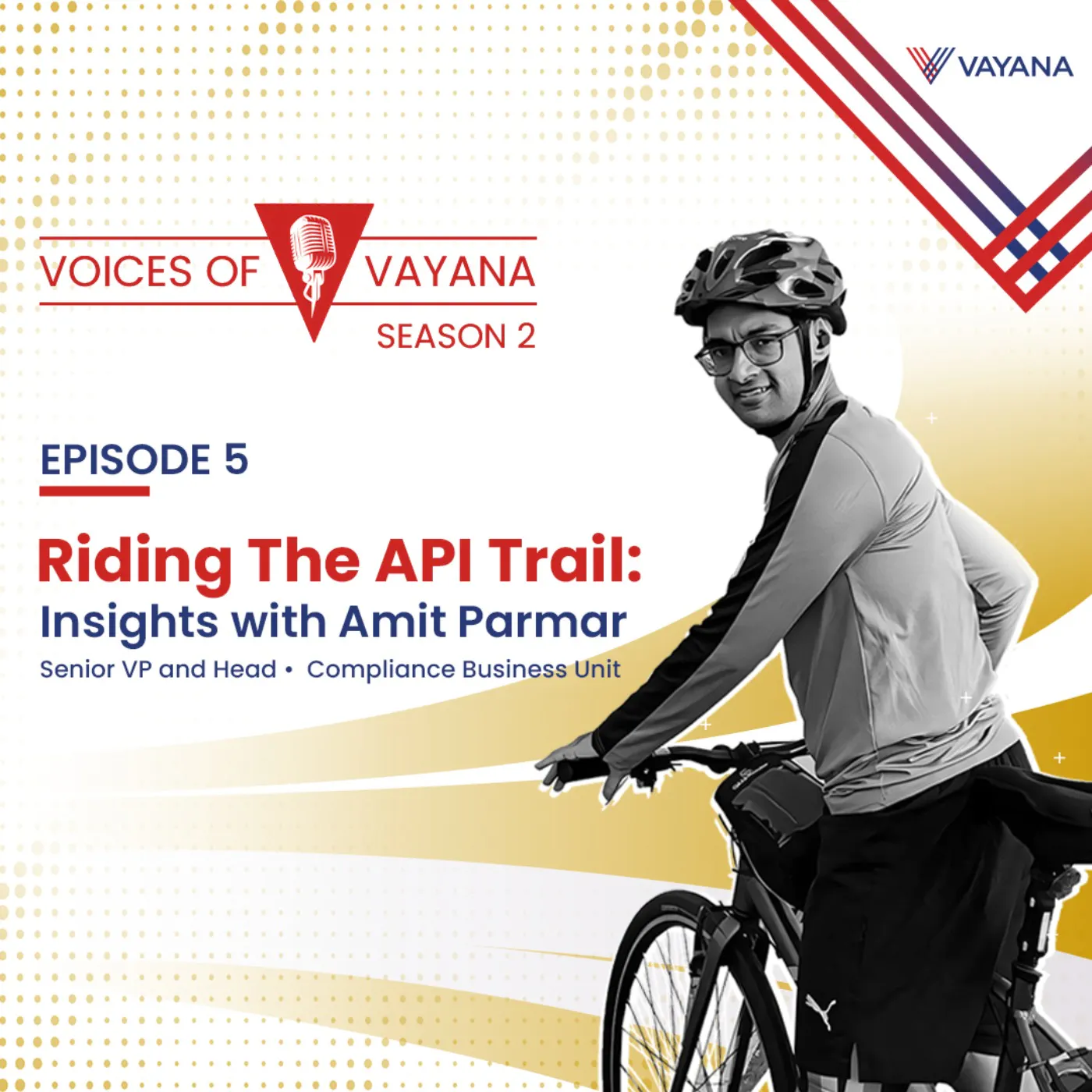 Riding The API Trail: Insights With Amit Parmar episode artwork