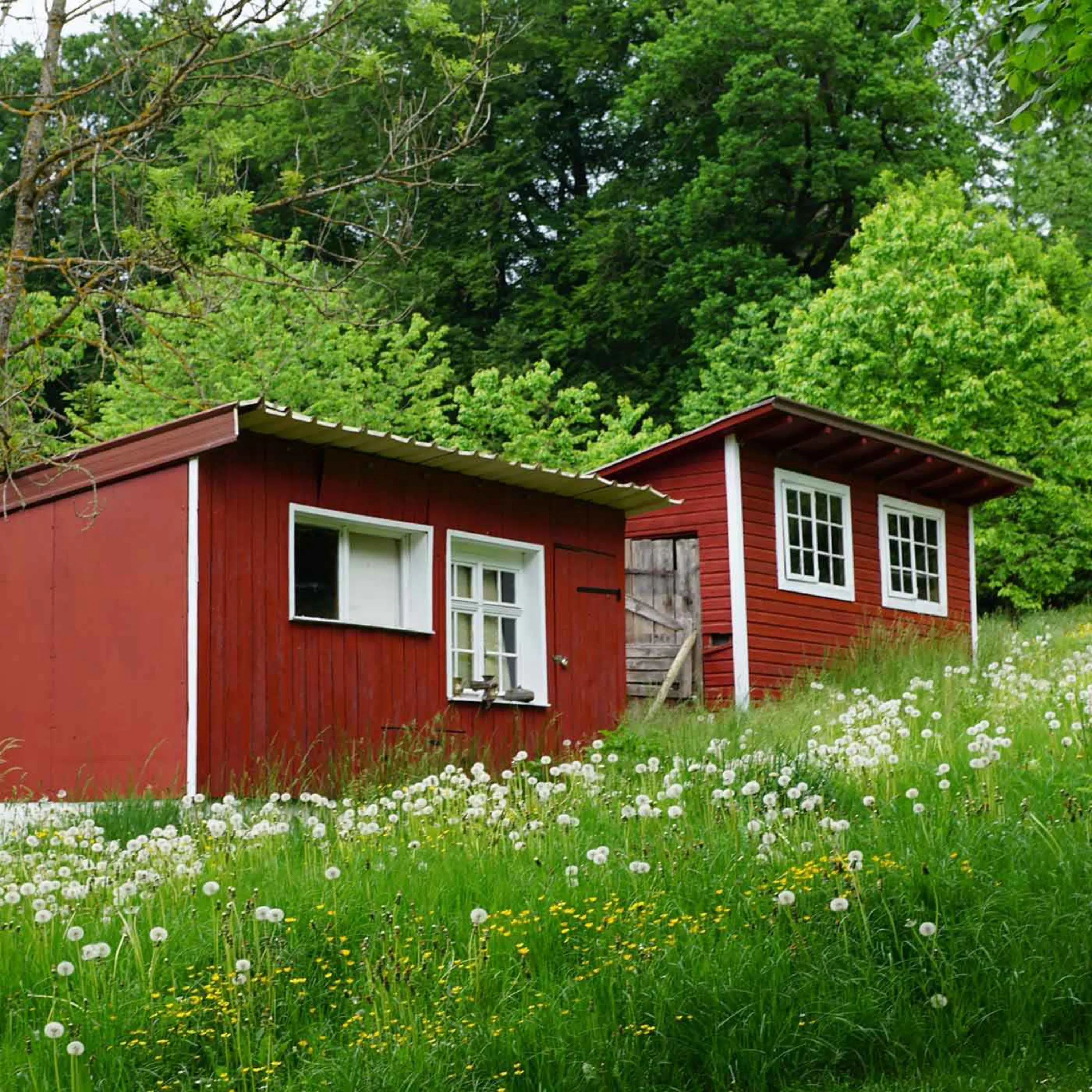 Qu’est-ce qu'une Tiny House ?