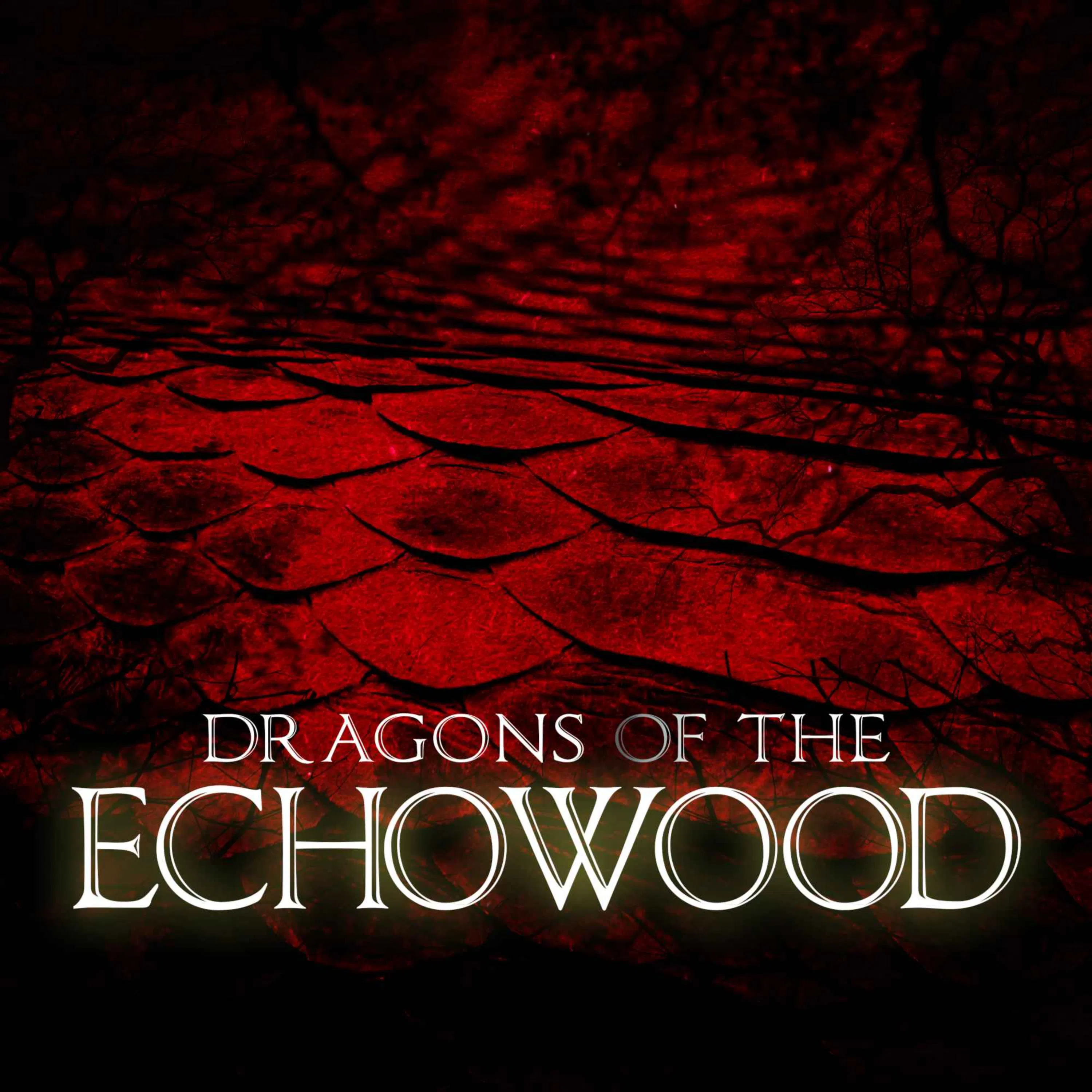 Episode 6: Dragons of the Echowood episode artwork