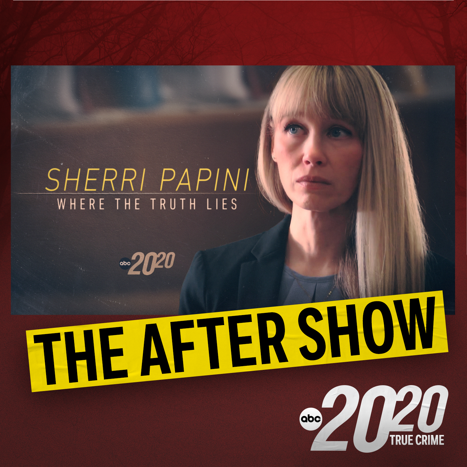 The After Show: Sherri Papini: Where the Truth Lies