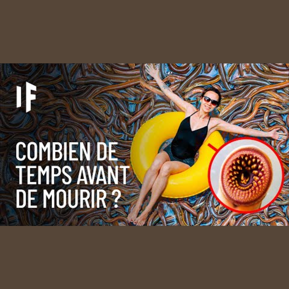 What If Français - Et Si