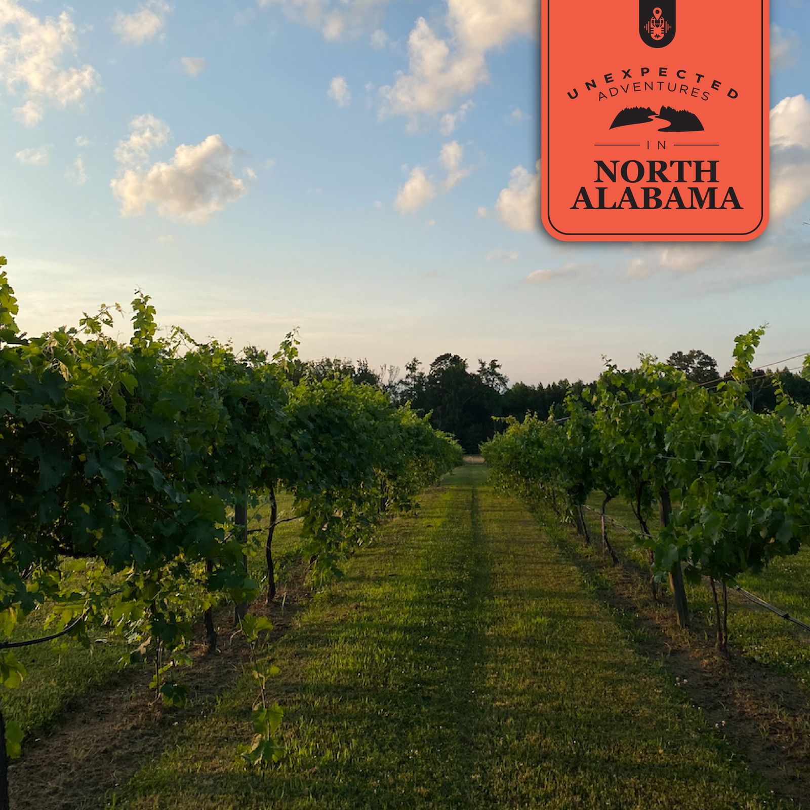 Unexpected Adventures in North Alabama