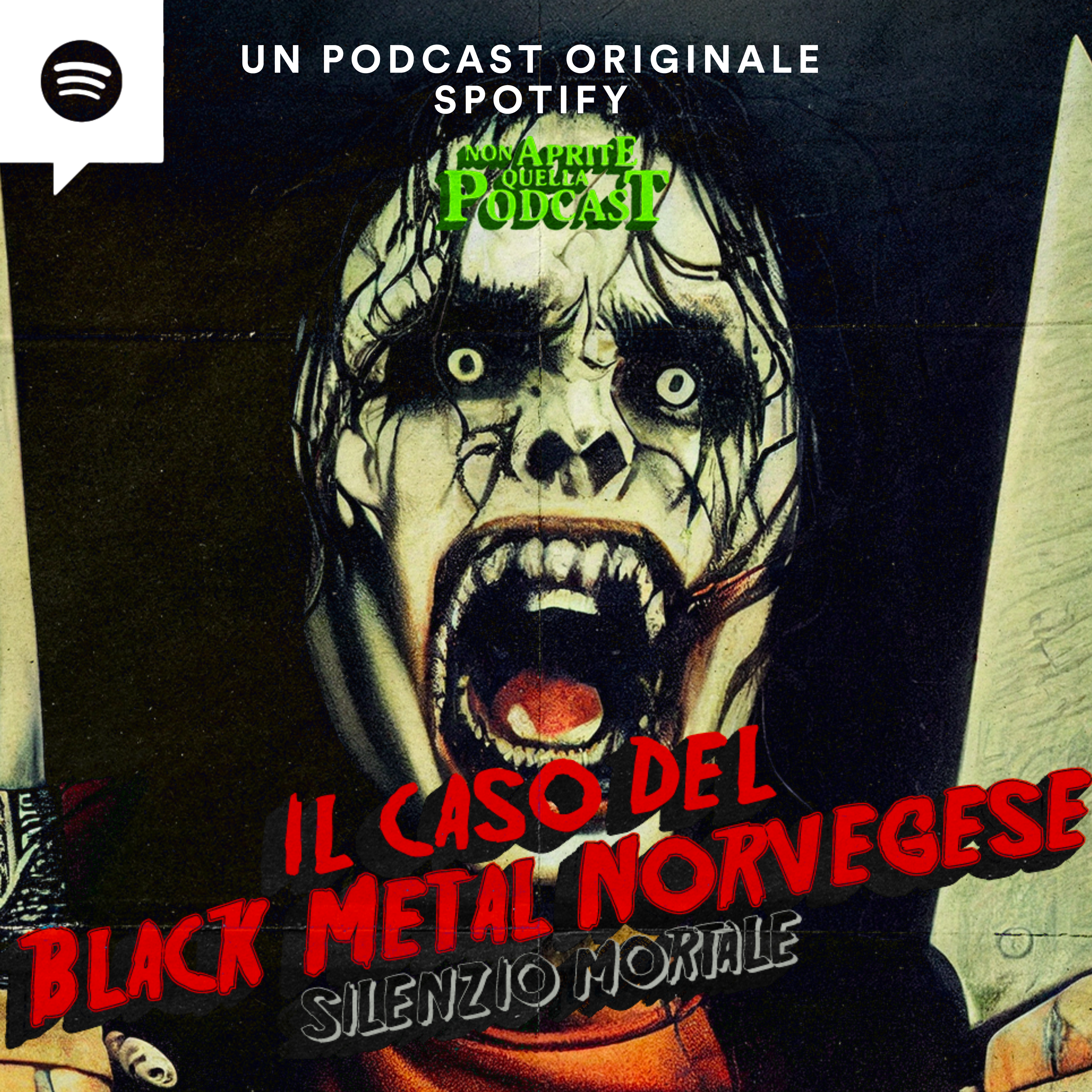 Il Caso del Black Metal Norvegese - Silenzio Mortale