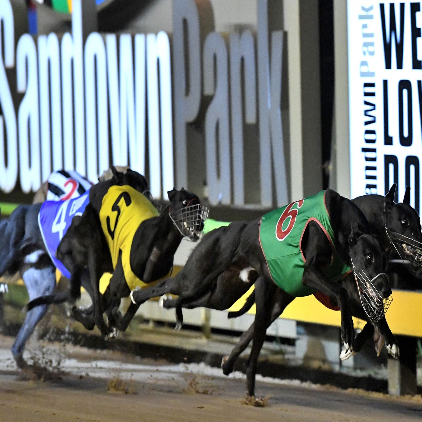 Jason Adams - Sandown Preview 6th December episode artwork