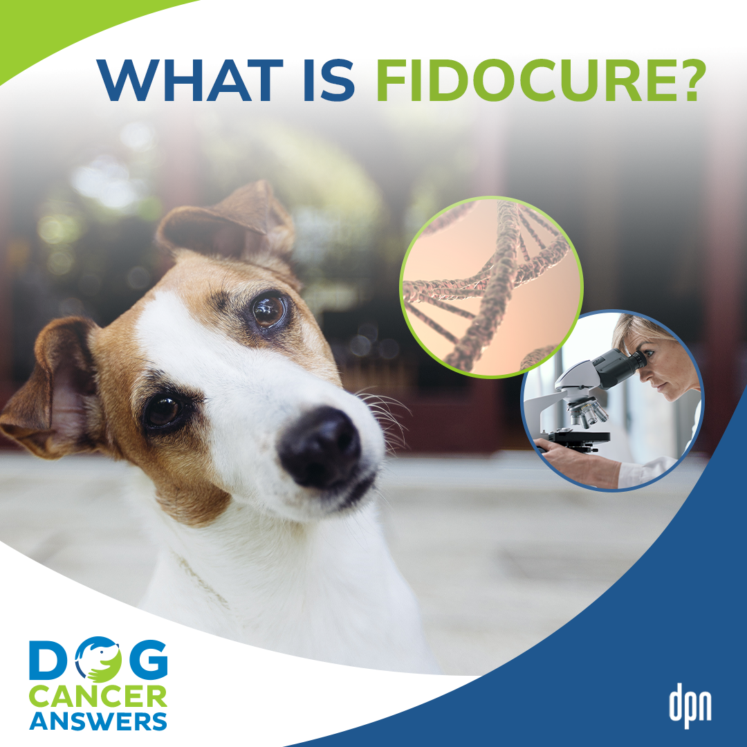 What is FidoCure? | Ben Lewis #106