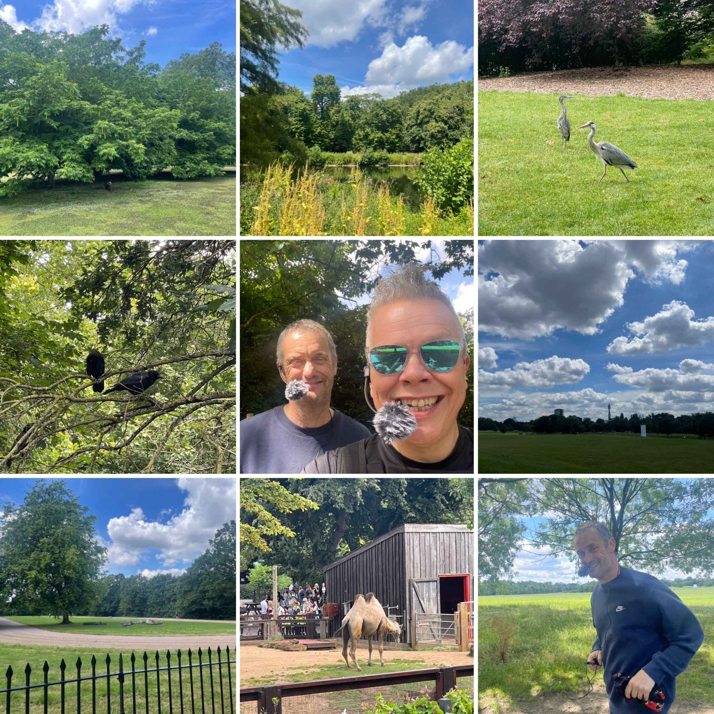 Predictions In The Park