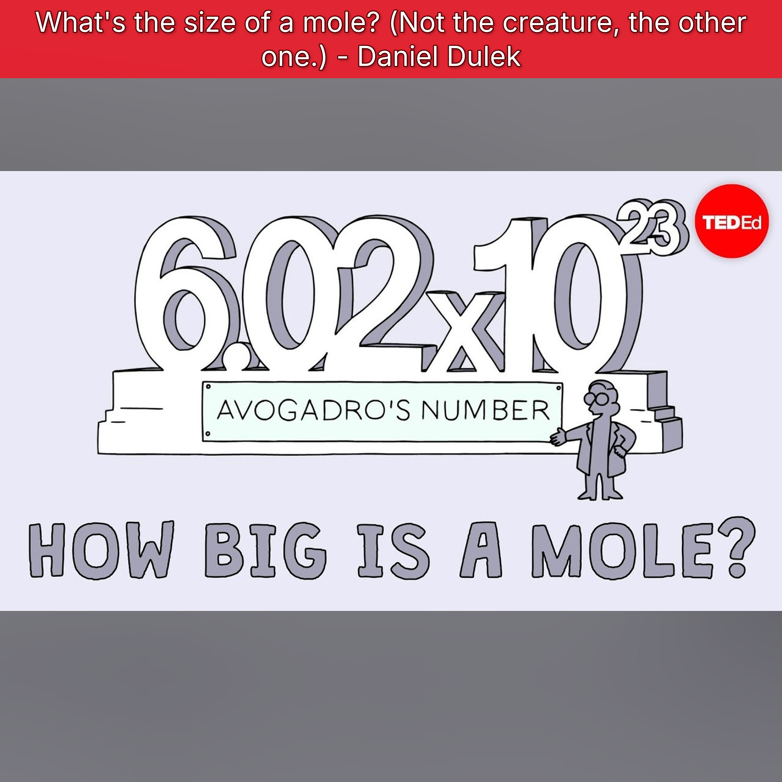What's the size of a mole? (Not the creature, the other one.) - Daniel Dulek episode artwork