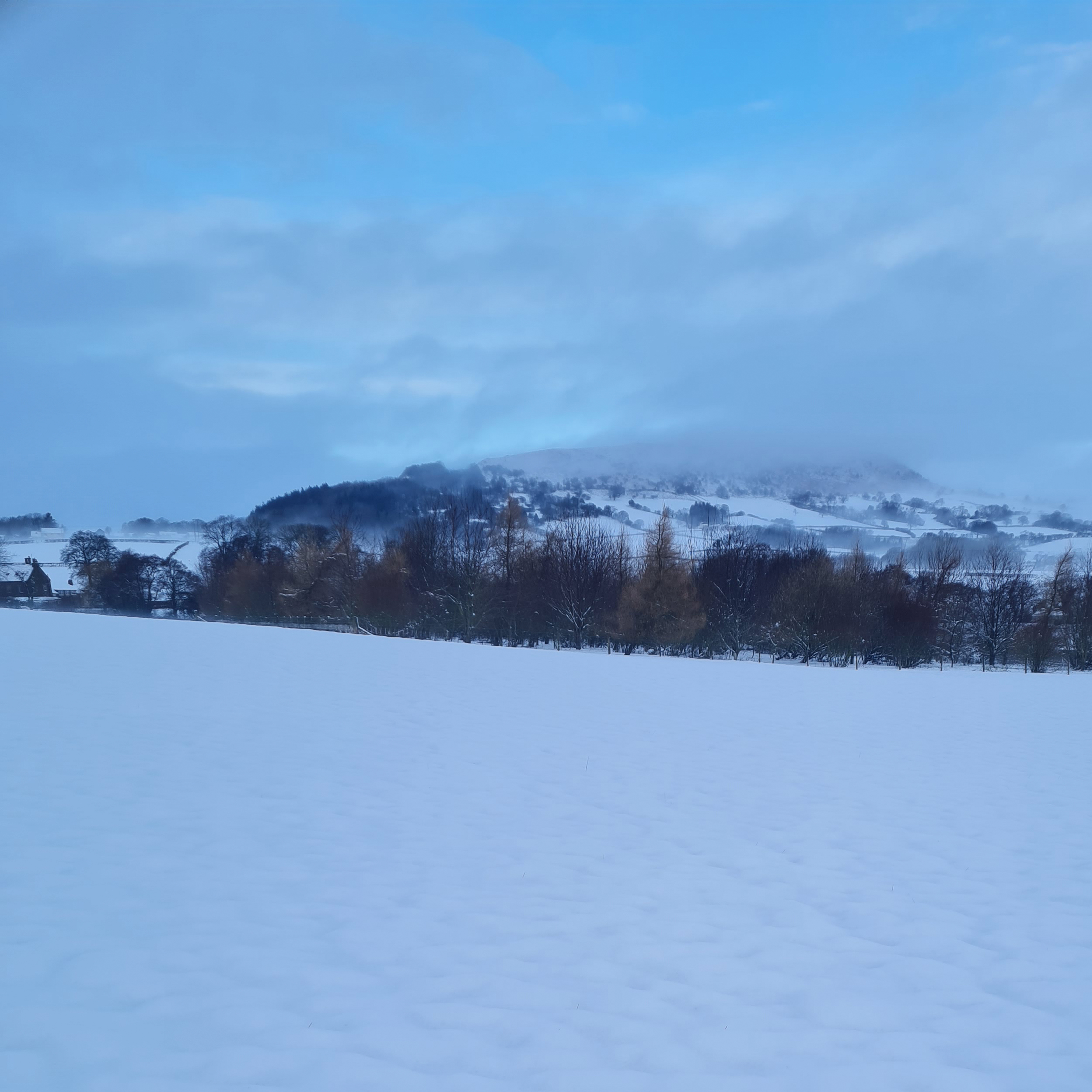 Sound Escape 206. Experience a landscape transformed by snow