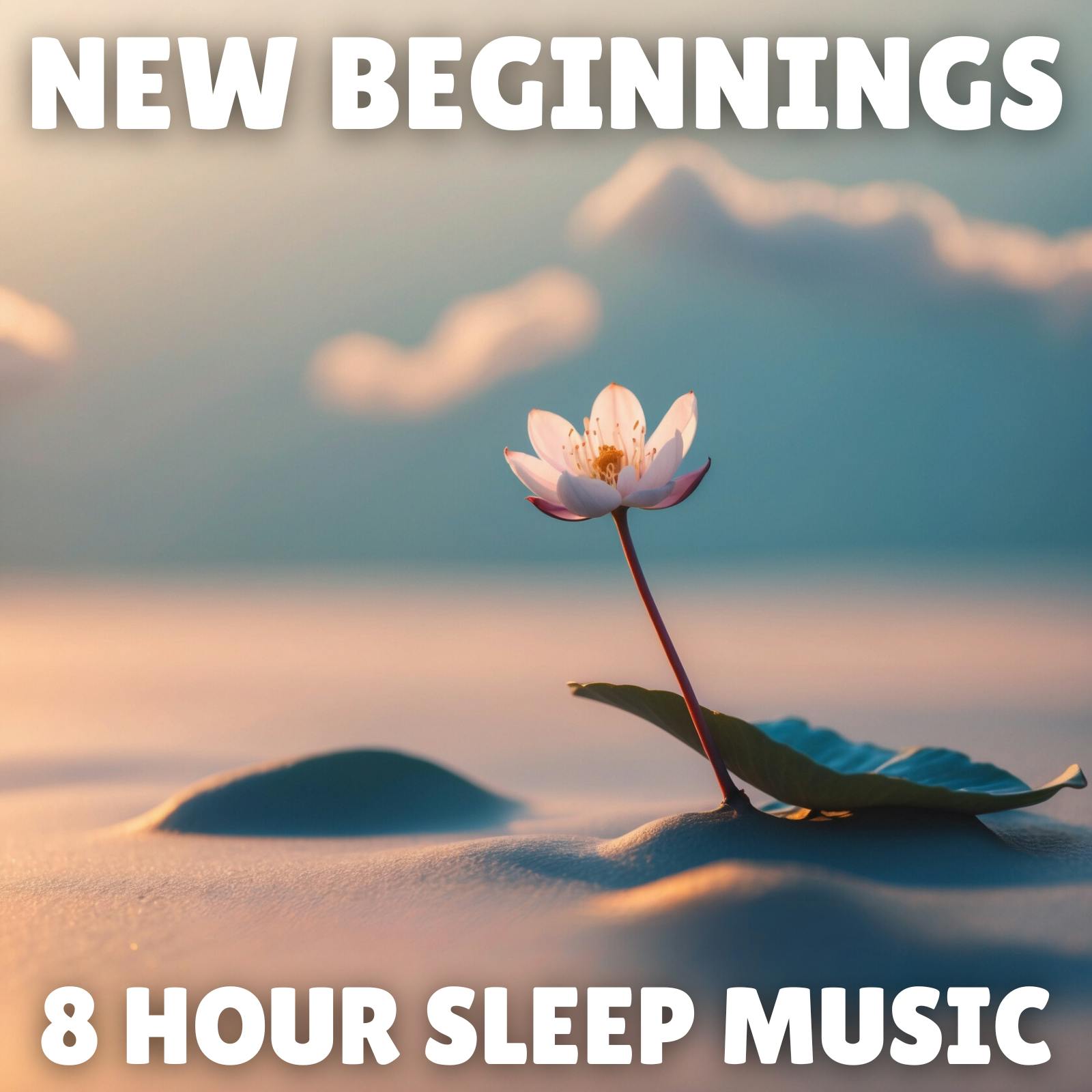 đ§ Guided Meditation for New Beginnings | 45-Minute New Year's Meditation for Personal Growth with 8 Hours of Relaxing Music & Nature Sounds đ¤