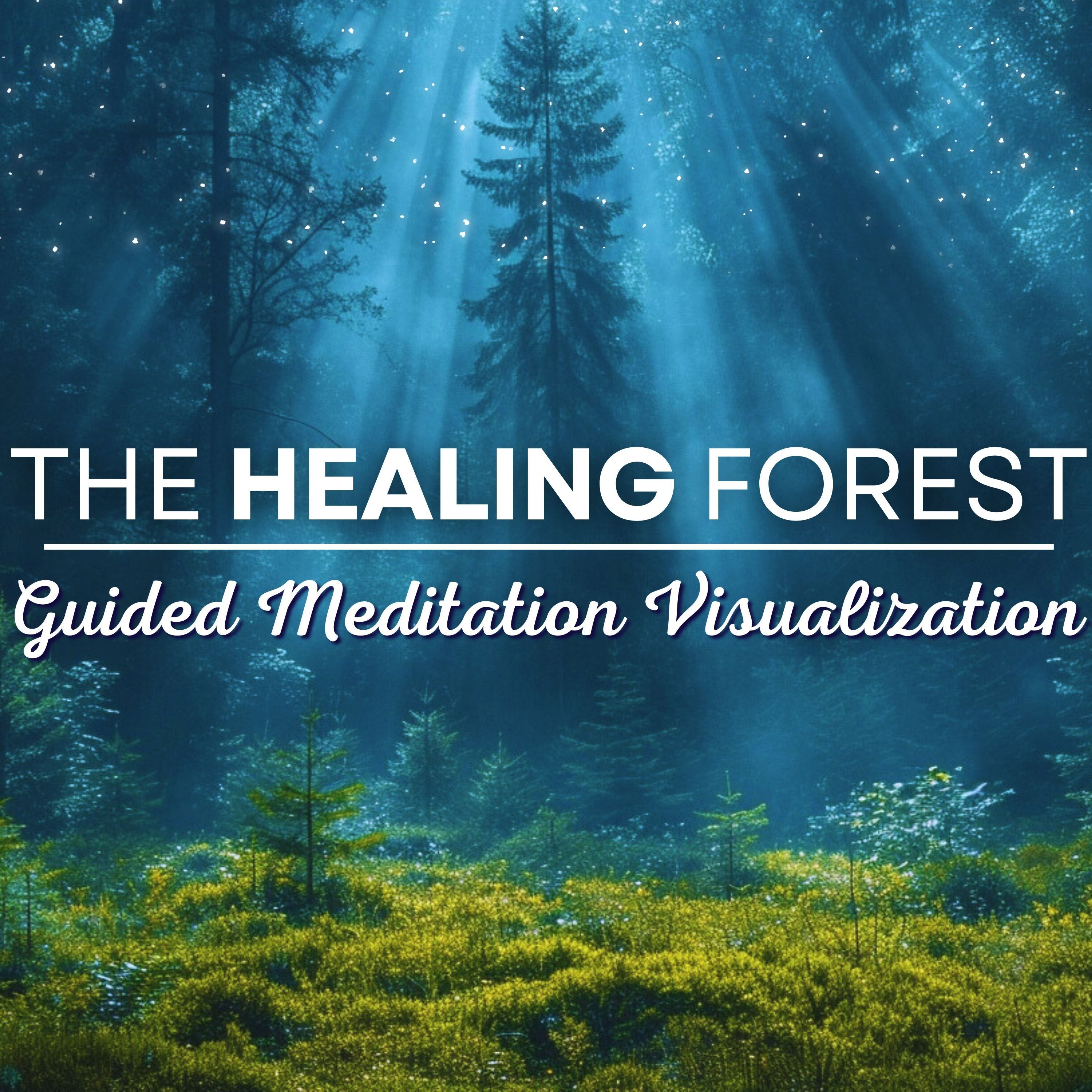 The Healing Forest | Guided Meditation for Mind Body & Spirit Healing
