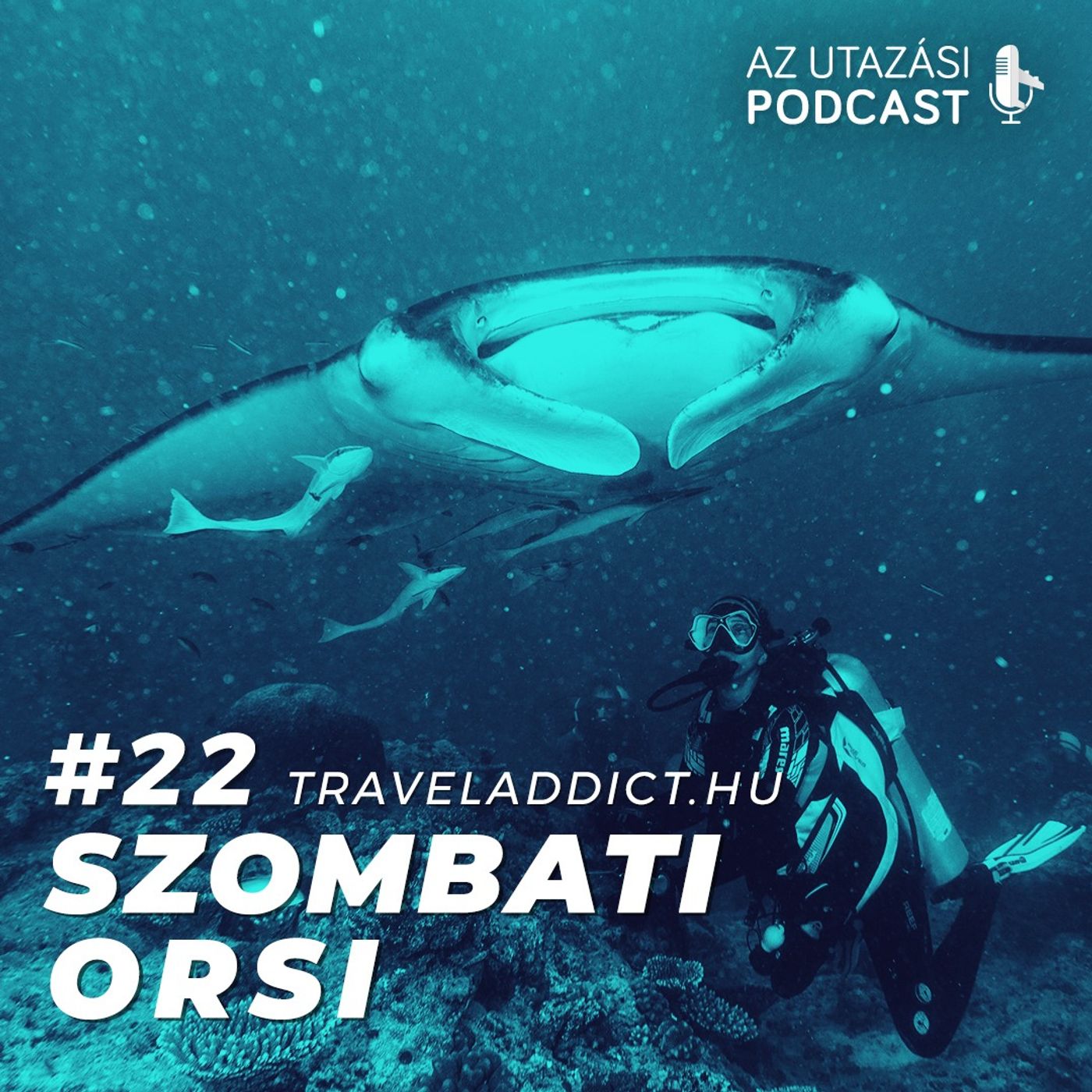 #22 Lent a mélyben ráják, cápák, fókák és kardszárnyú delfinek között