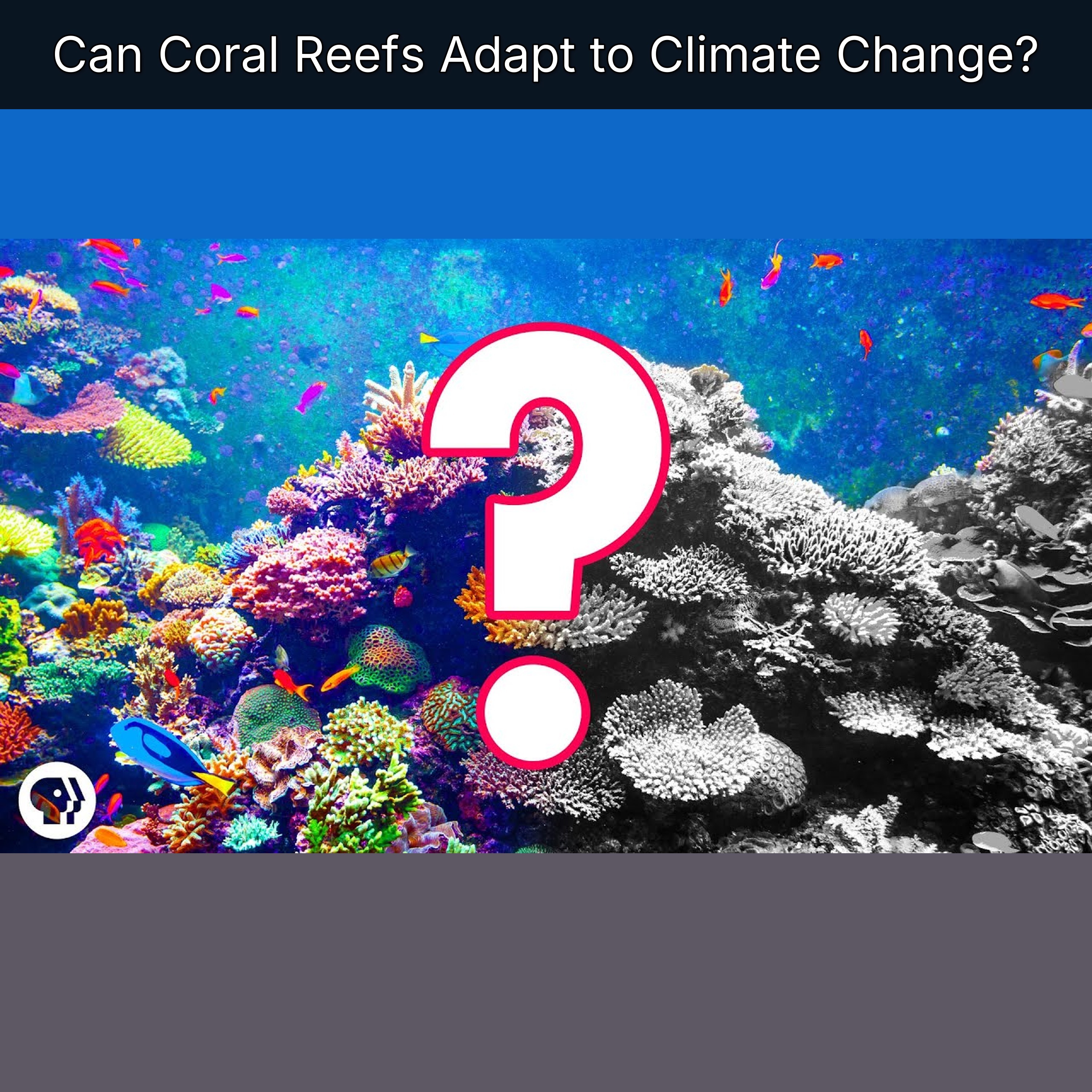 Can Coral Reefs Adapt to Climate Change? episode artwork
