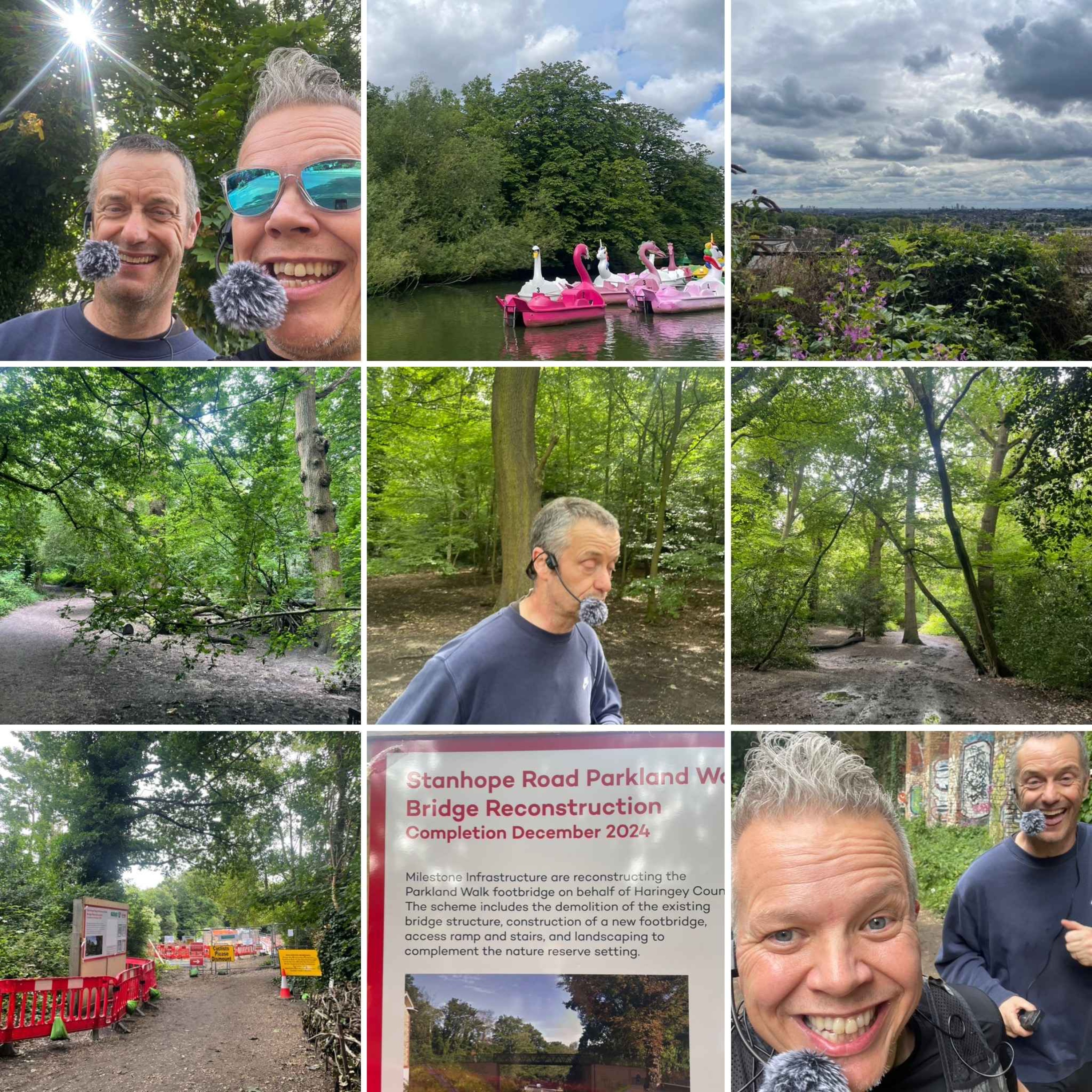 A Week Of Ups And Downs