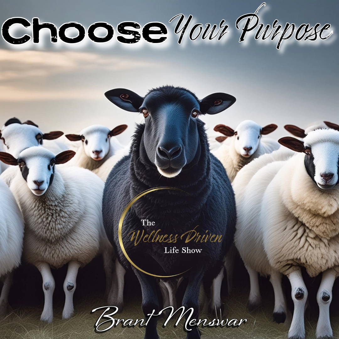 The Wellness Driven Life Show