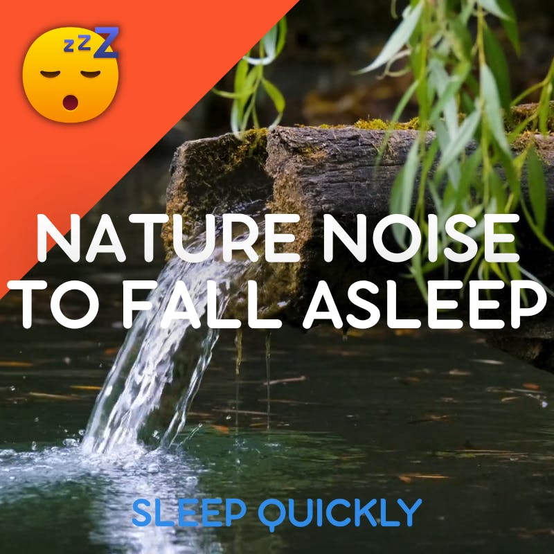 😴🍂 NATURE Noise to Help you Fall ASLEEP episode artwork