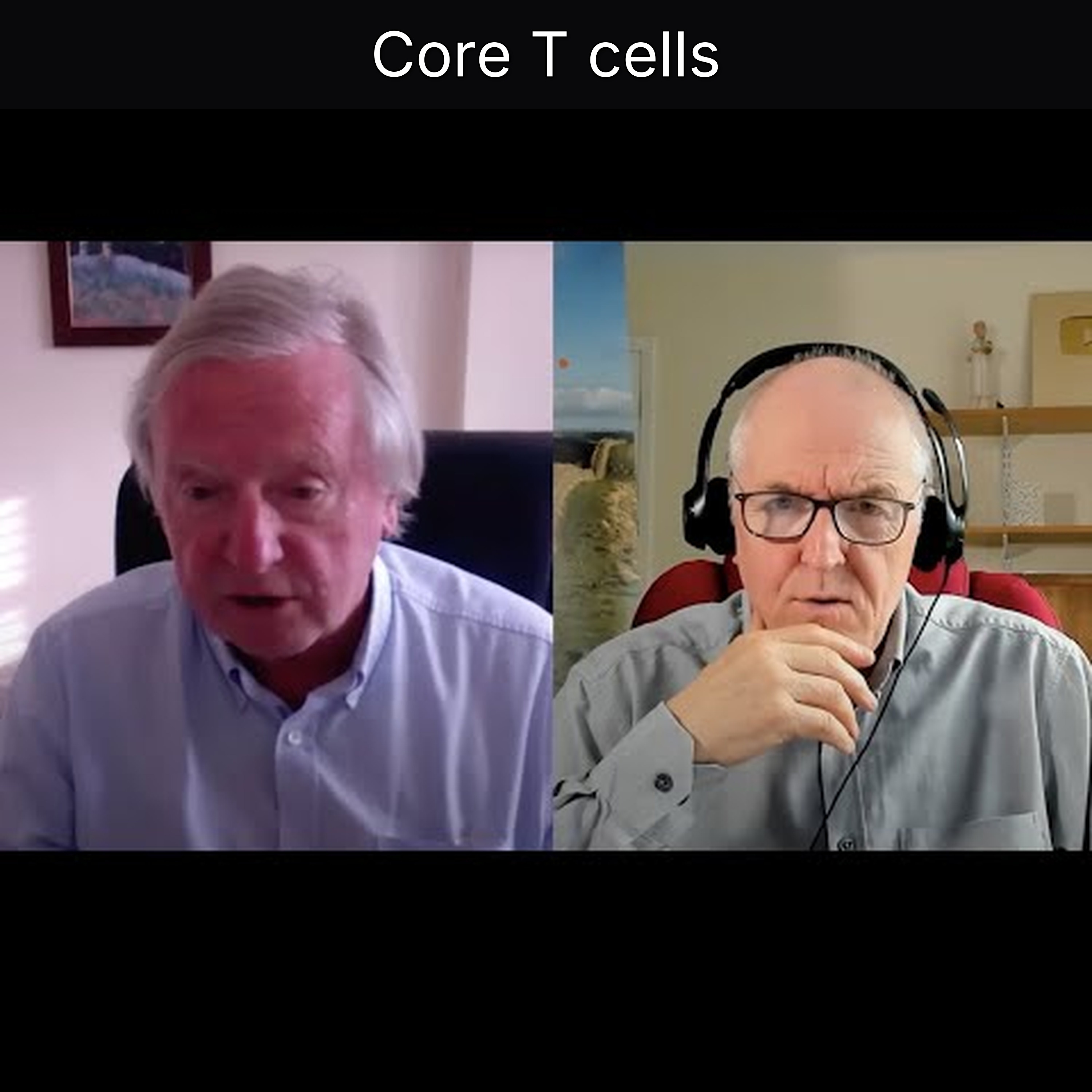 Core T cells episode artwork