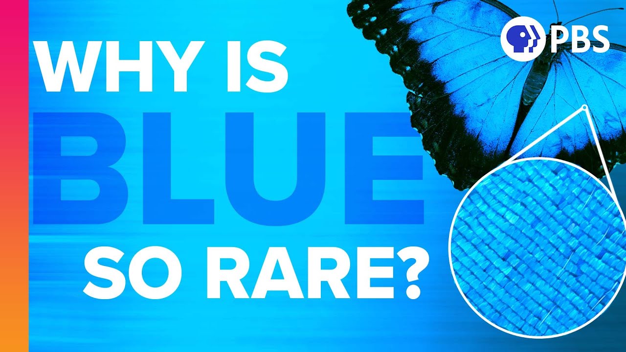 Why Is Blue So Rare In Nature? episode artwork