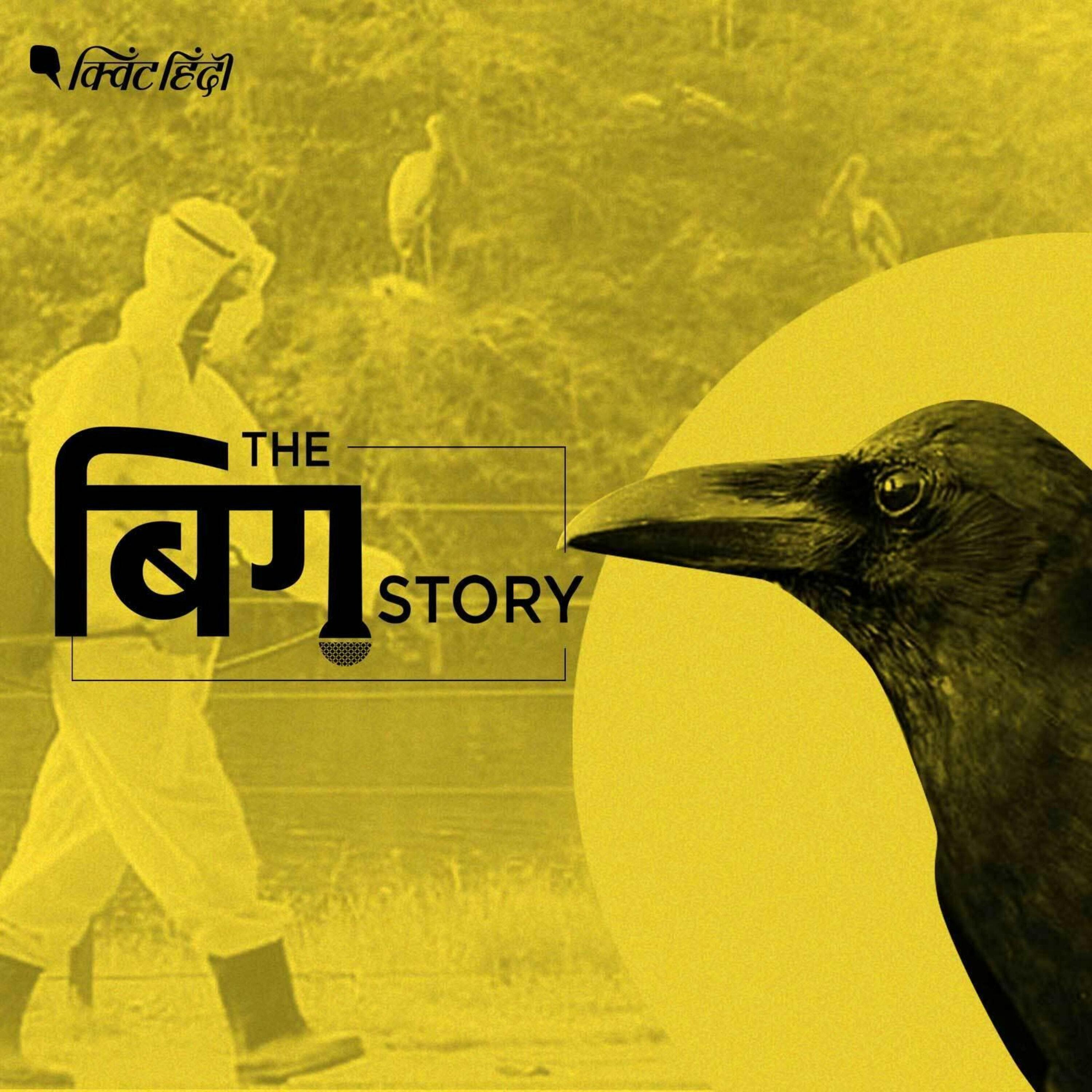 देश में बर्ड फ्लू बढ़ रहा खौफ,क्या है ये बीमारी और इससे कैसे बचें?